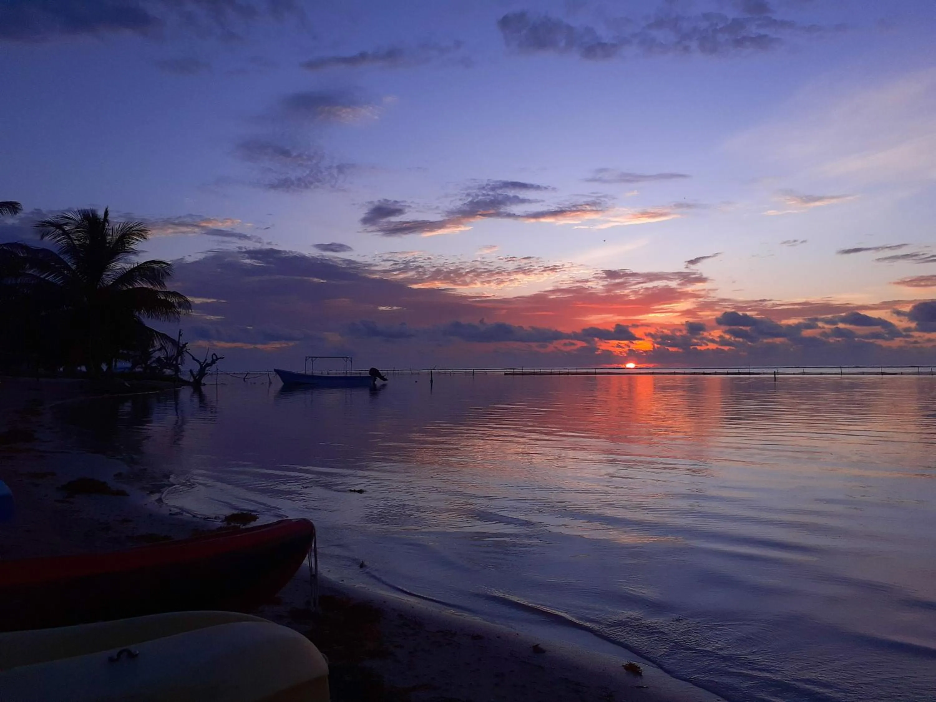 Natural landscape in Palmeras de Mahahual Cabañas