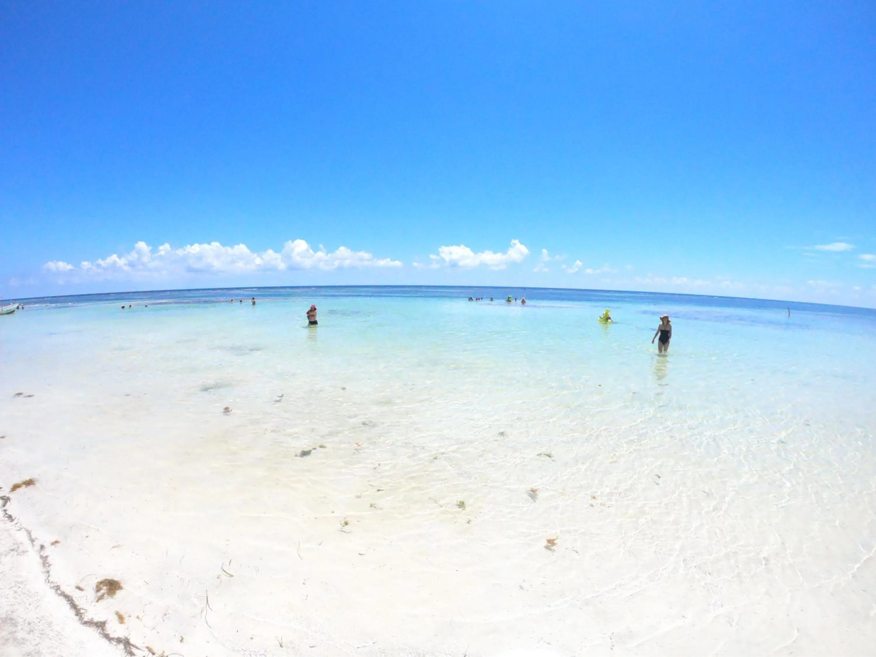 Natural landscape in Palmeras de Mahahual Cabañas