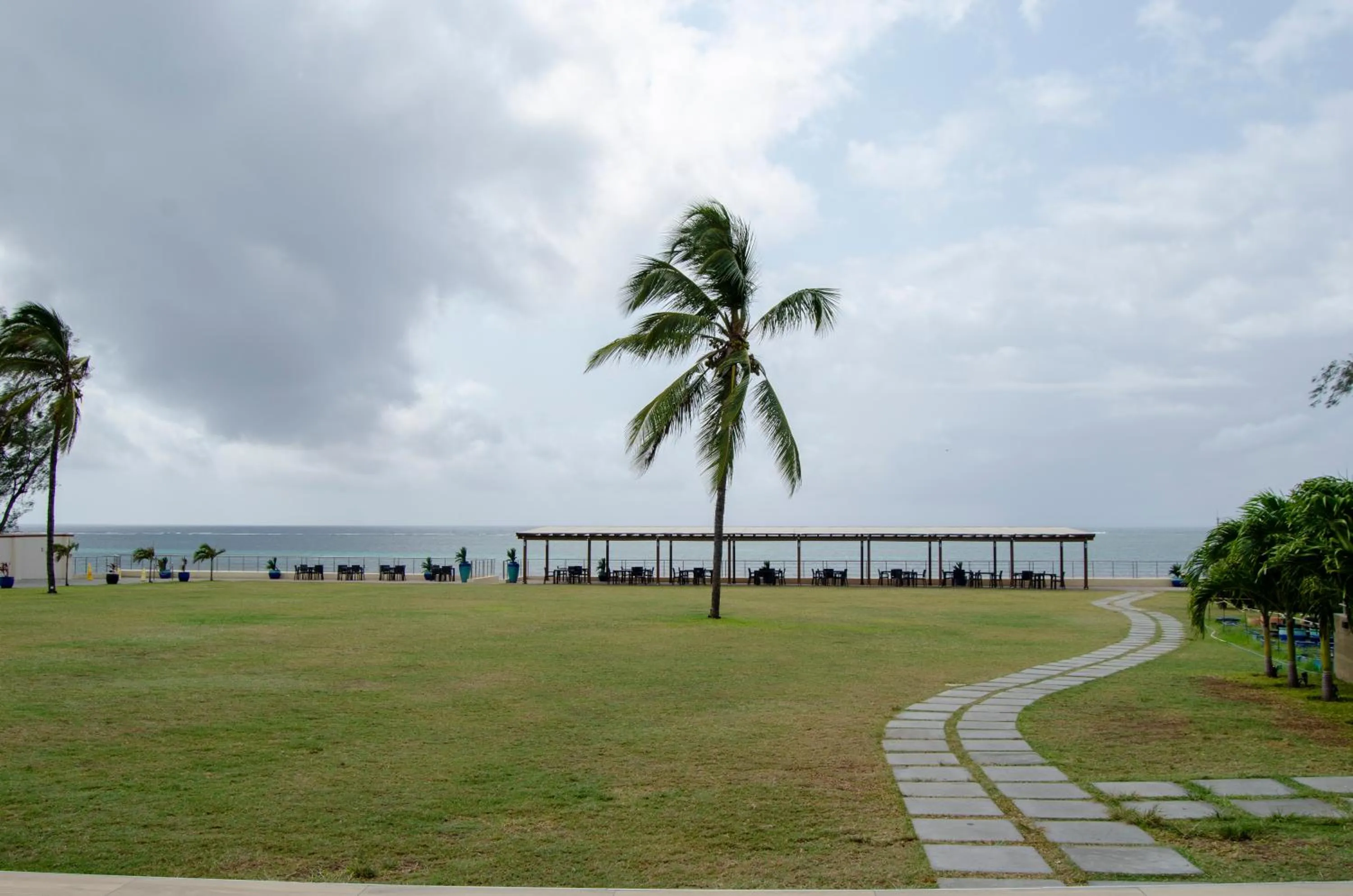 Natural landscape in Jumeirah Beachfront