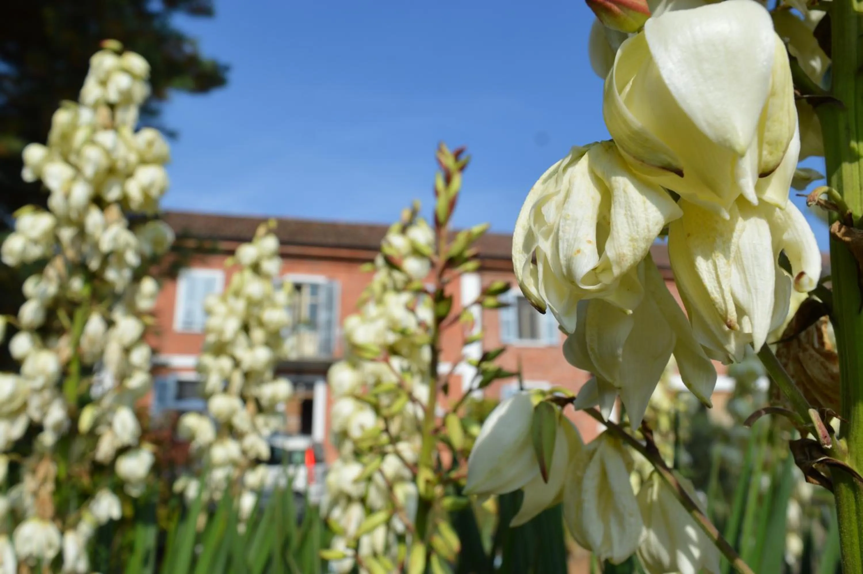 Facade/entrance in Bed & Tours Dimora di campagna
