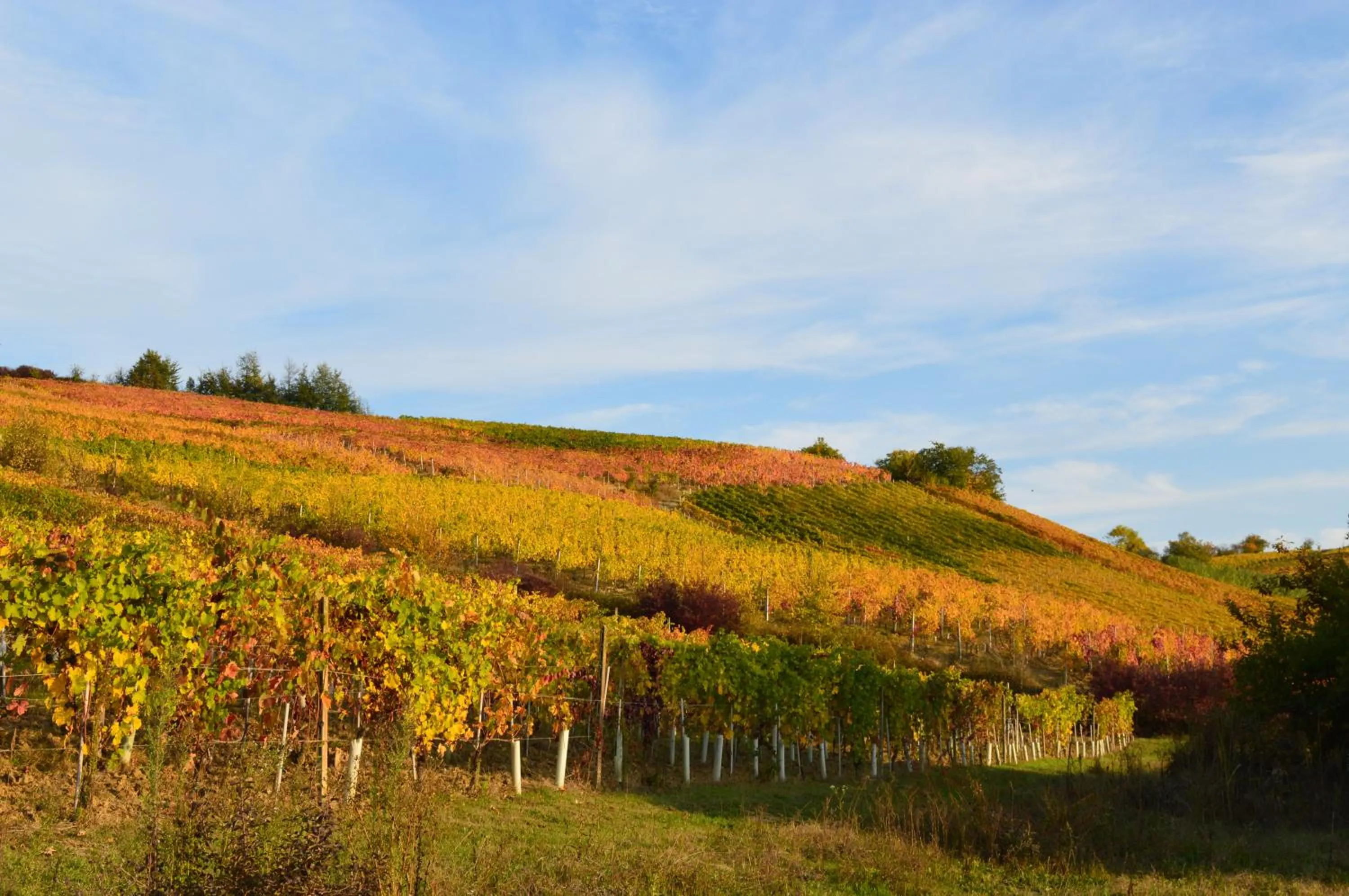 Natural landscape in Bed & Tours Dimora di campagna