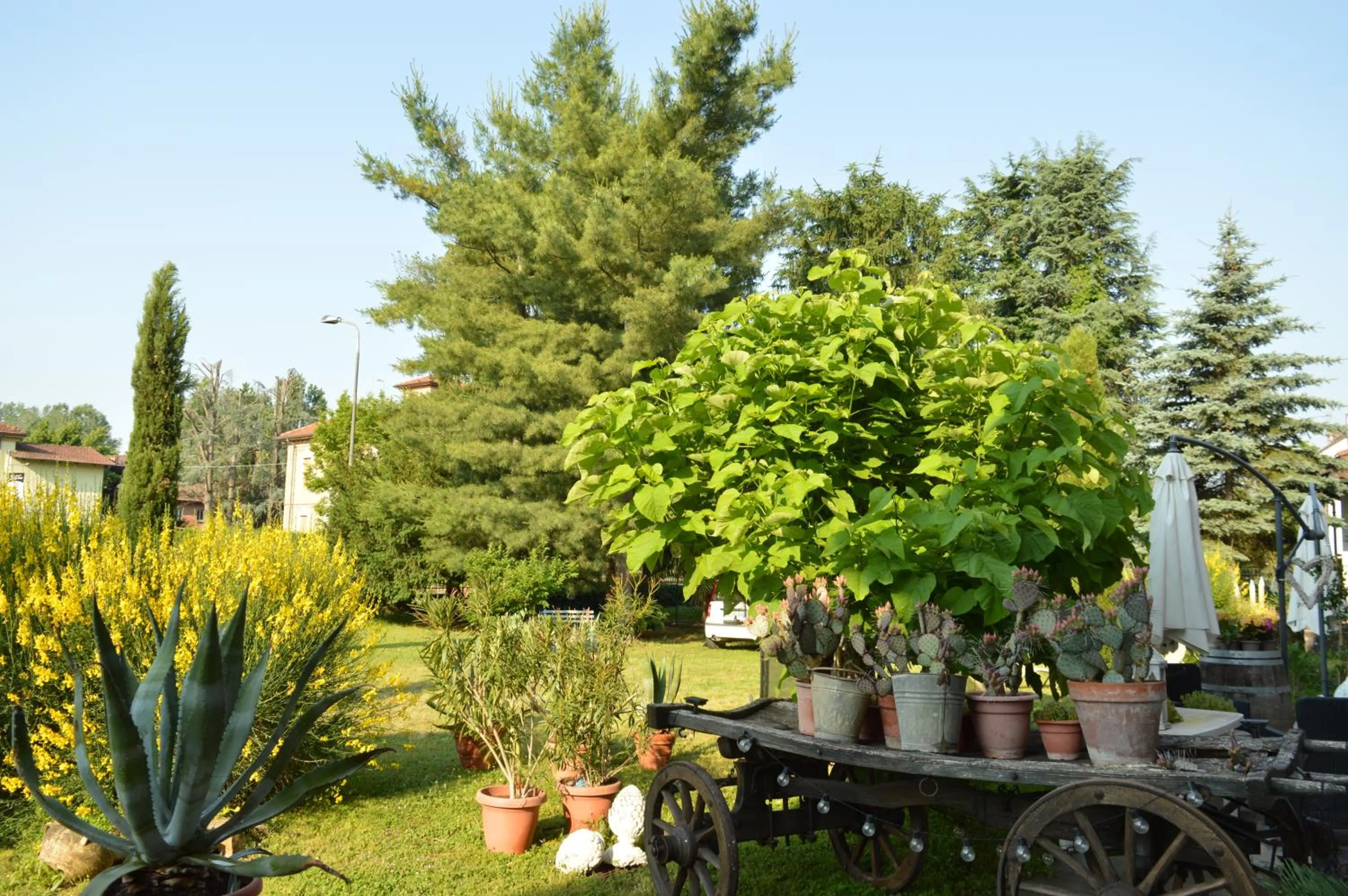 Patio in Bed & Tours Dimora di campagna