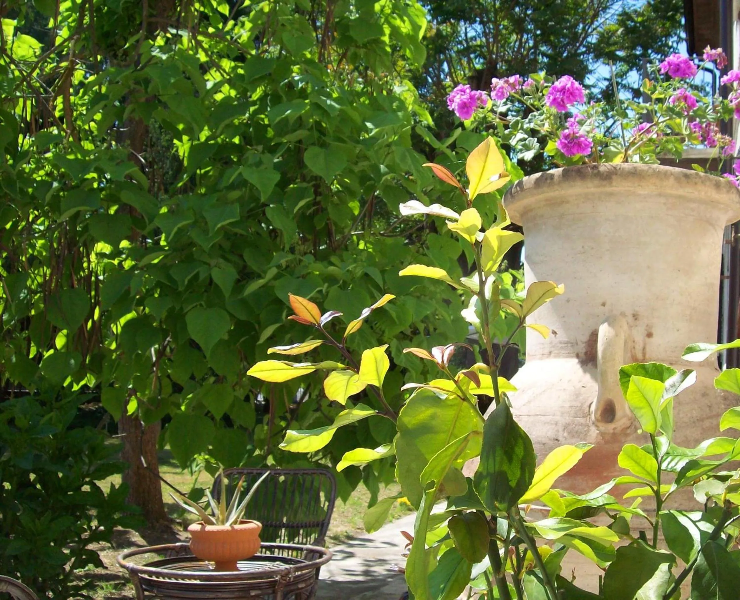 Garden in Bed & Tours Dimora di campagna