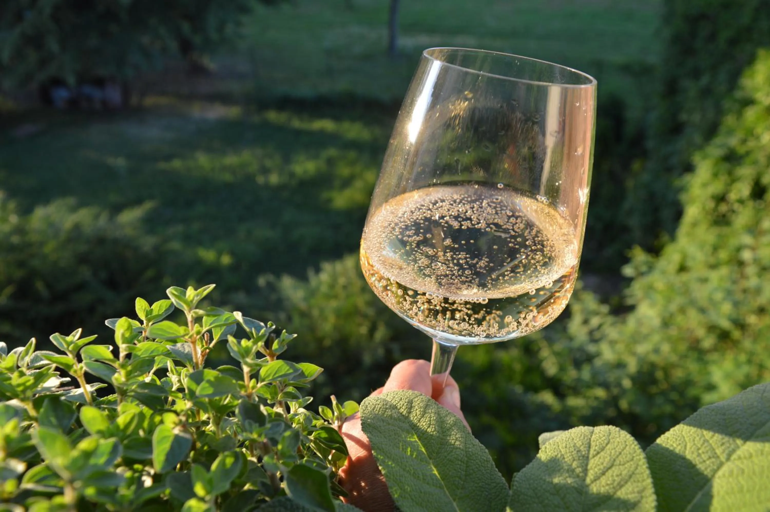 Drinks in Bed & Tours Dimora di campagna