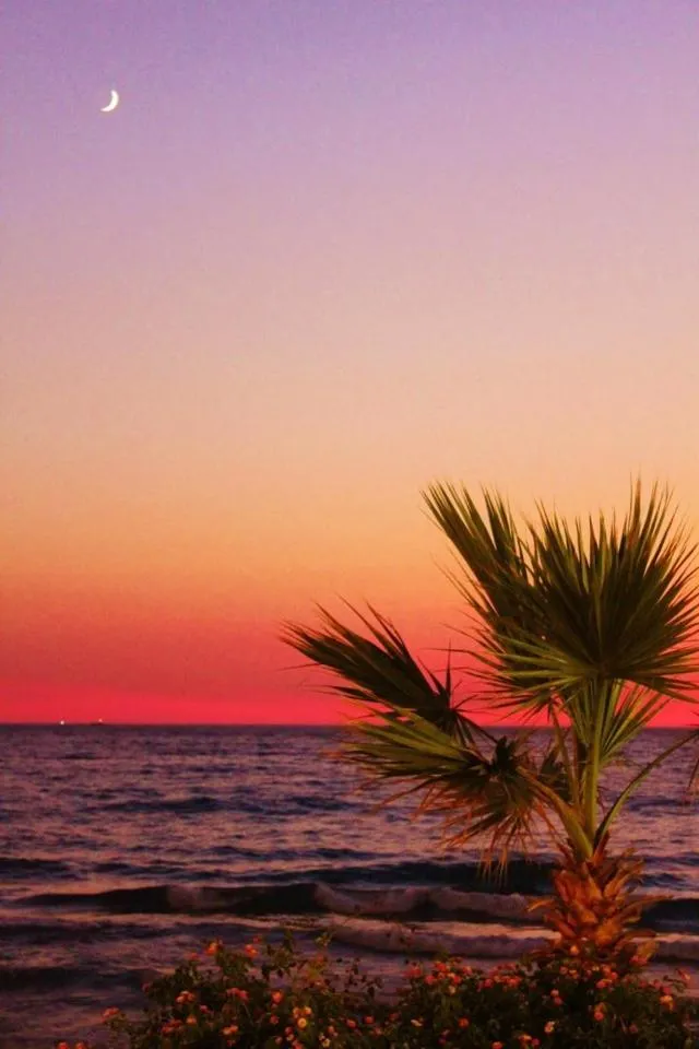 Beach in Ladies Beach Hotel