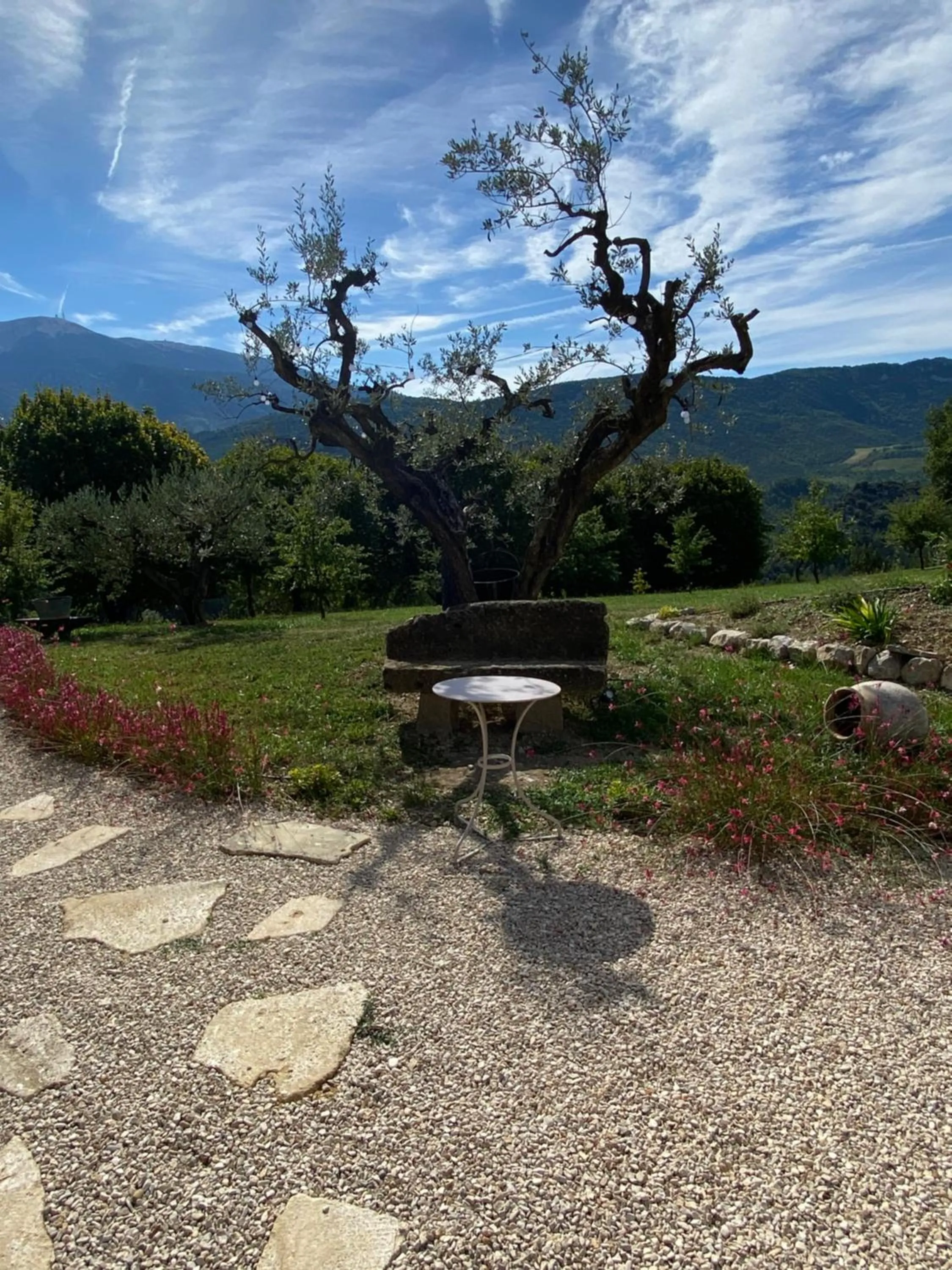 Chambre une fenêtre sur le Ventoux la Clue