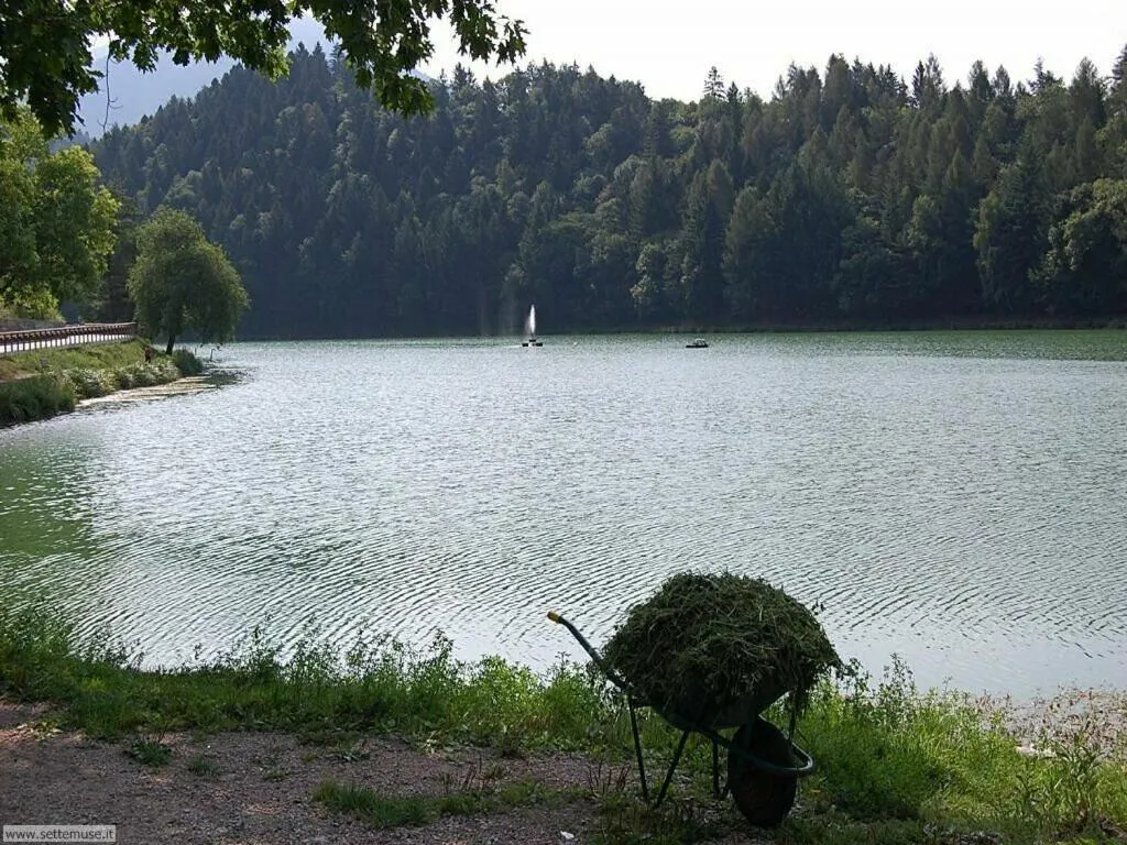 Natural landscape in Residence Delta