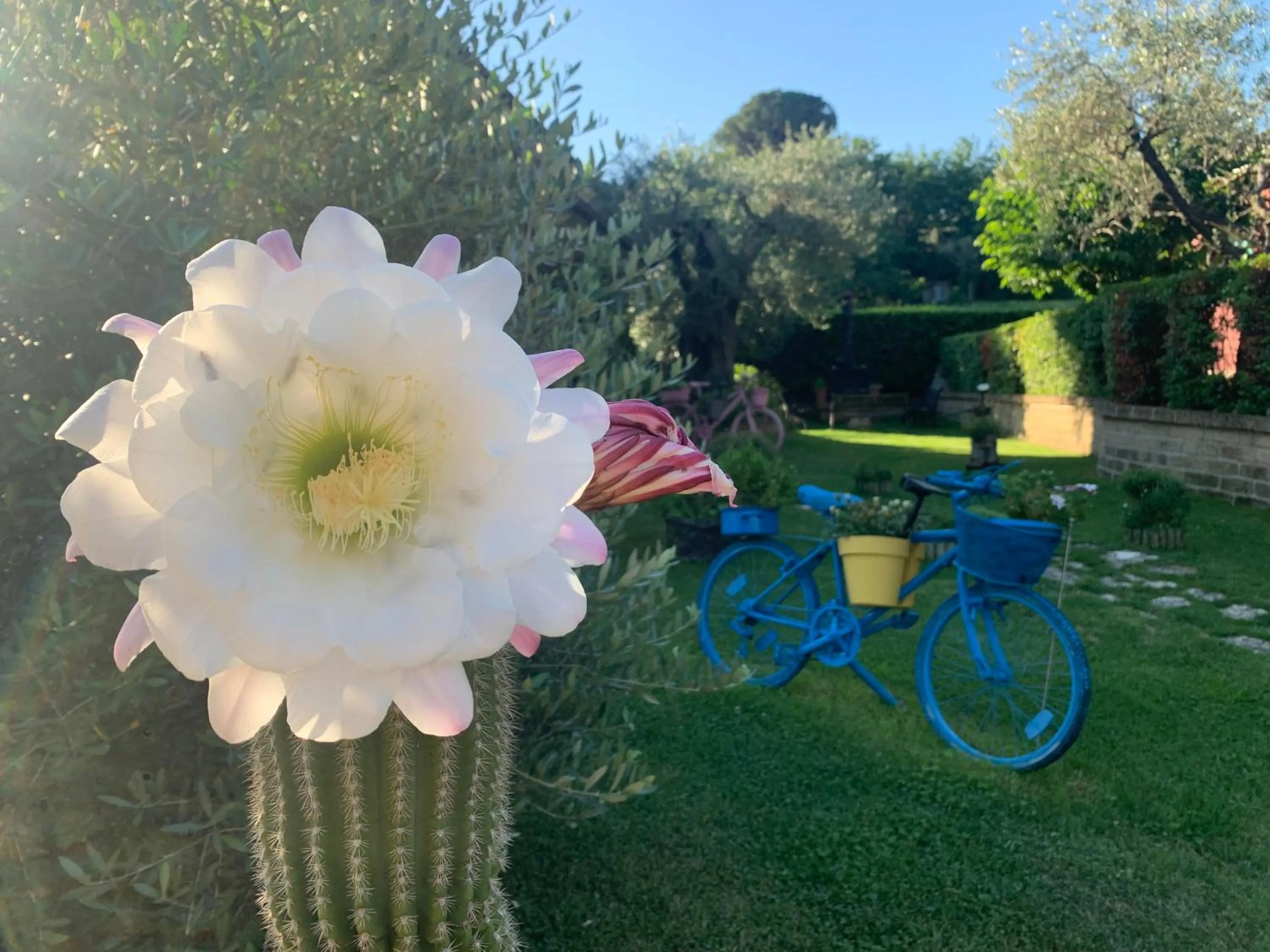 Property building in L' Ulivo Bed & Breakfast