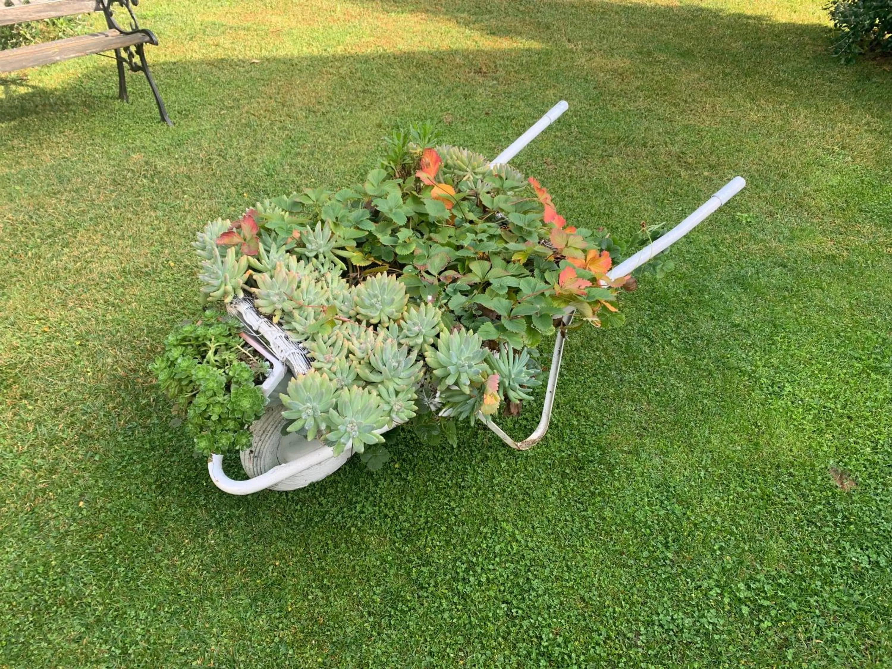 Property building in L' Ulivo Bed & Breakfast