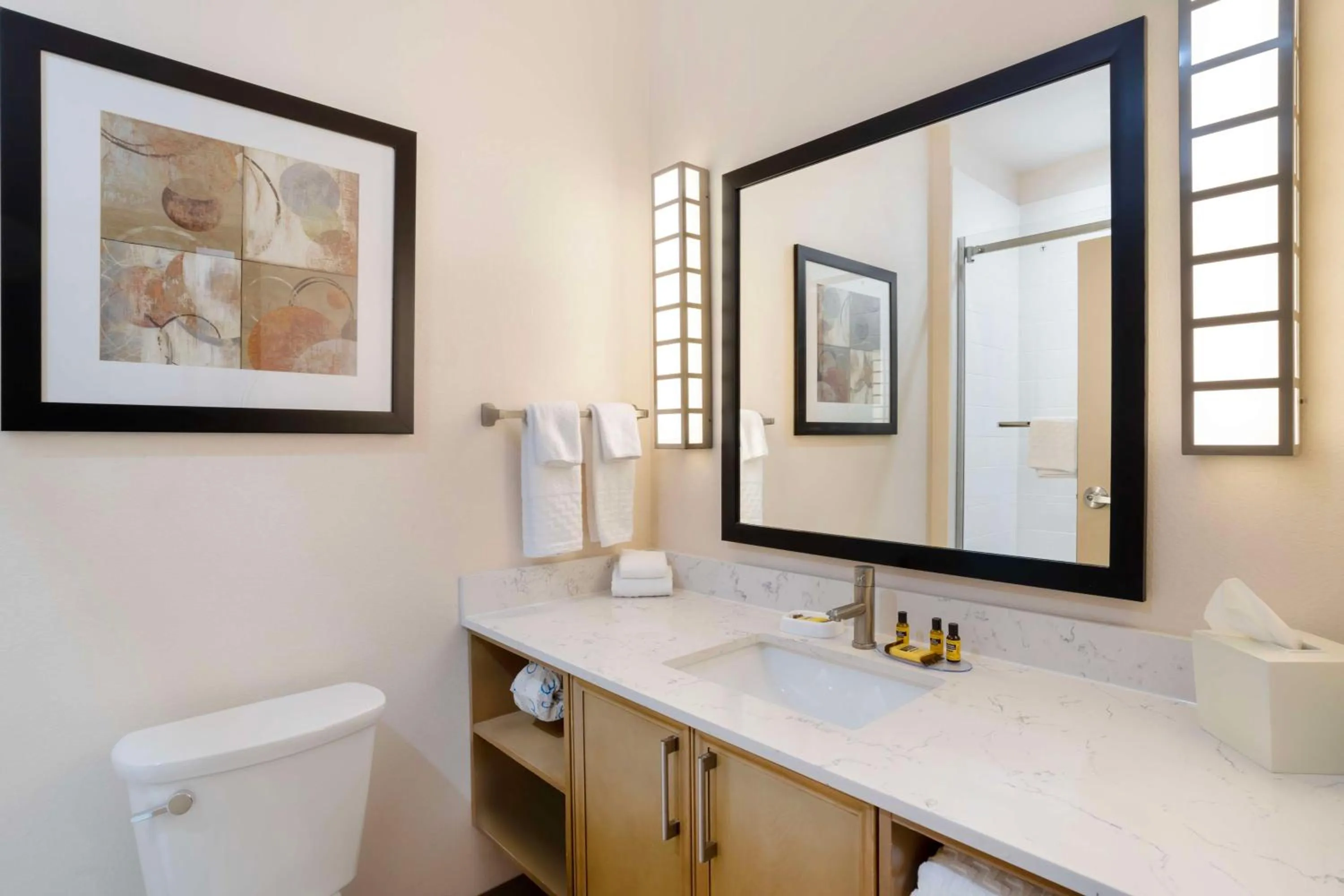 Bathroom in Best Western Executive Residency IH-37 Corpus Christi