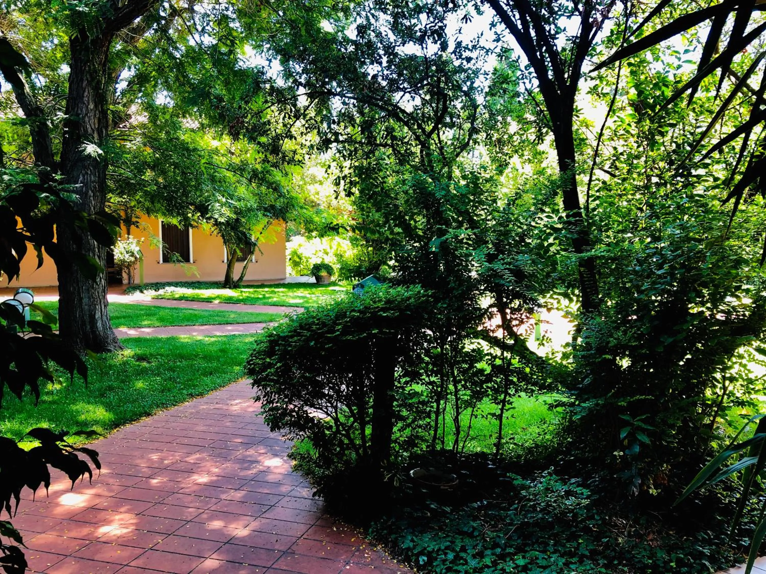 Spring in Opera Deluxe