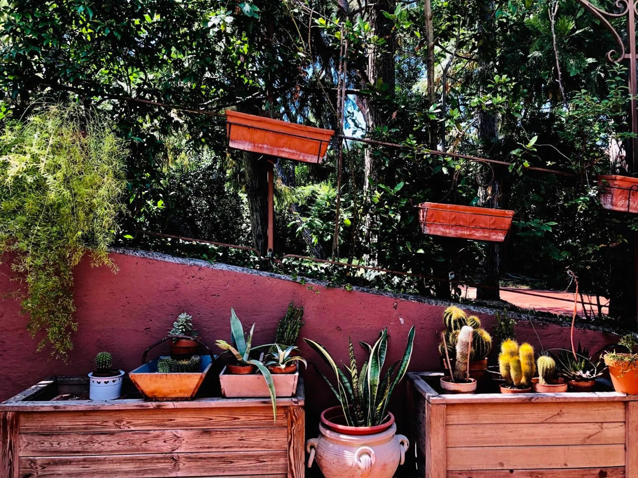 Spring in Opera Deluxe