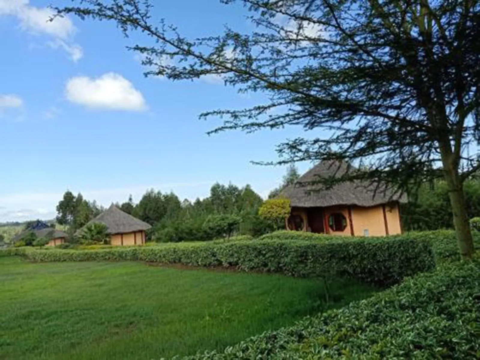 Natural landscape in The Great Circle Lodge