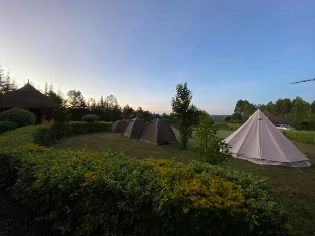 Day in The Great Circle Lodge