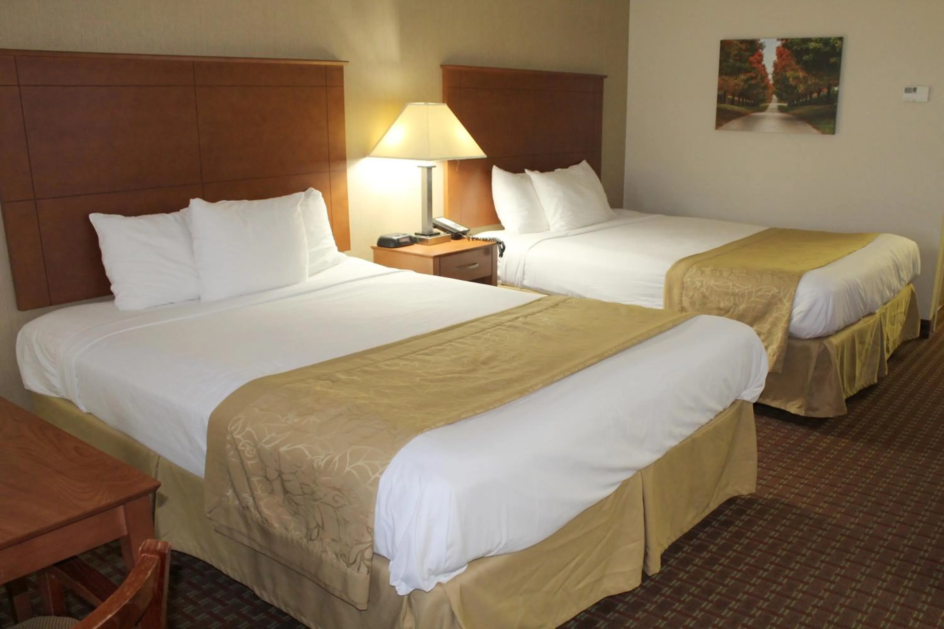 Bed in Baymont by Wyndham Franklin