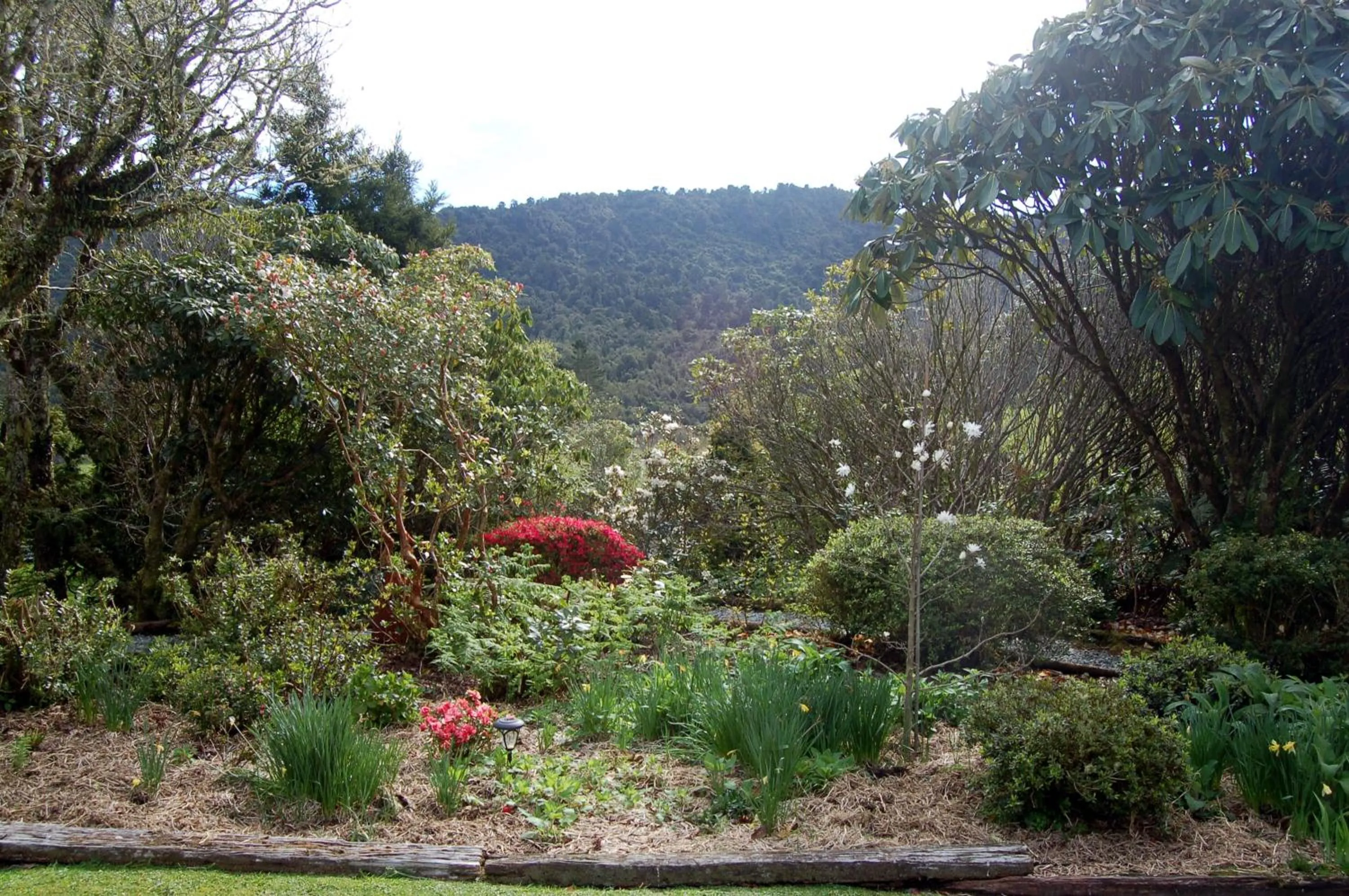 Garden in Oak Lodge