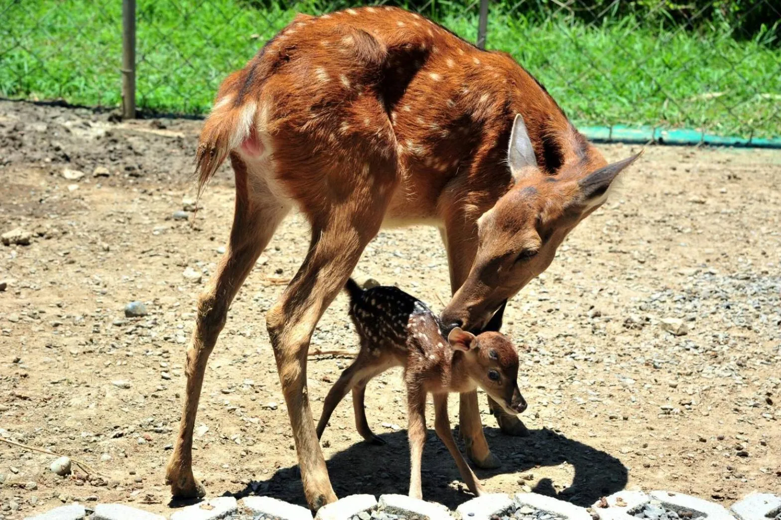 Fitness centre/facilities in Howard Beach Resort Kenting