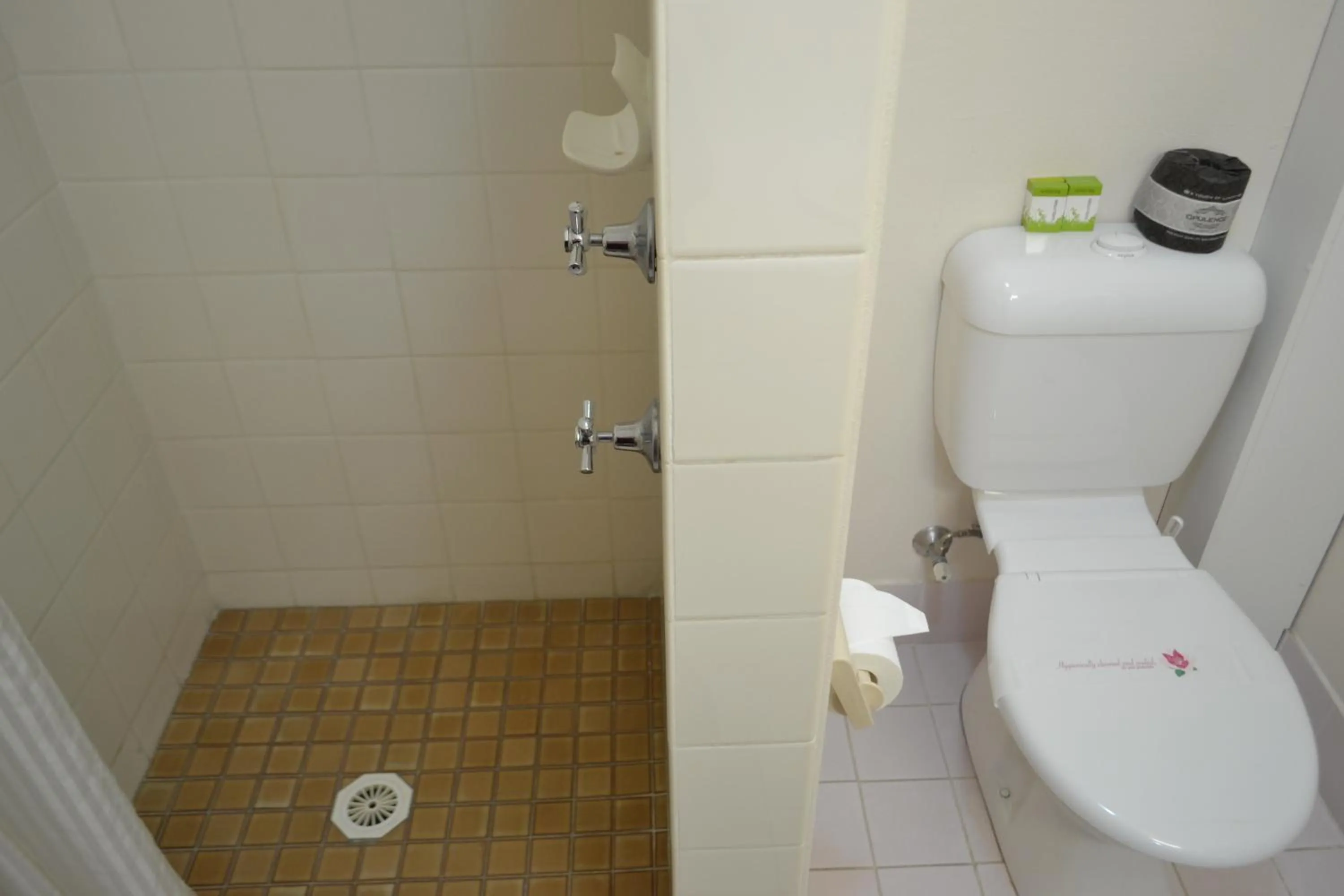 Toilet in Tamworth Motor Inn & Cabins