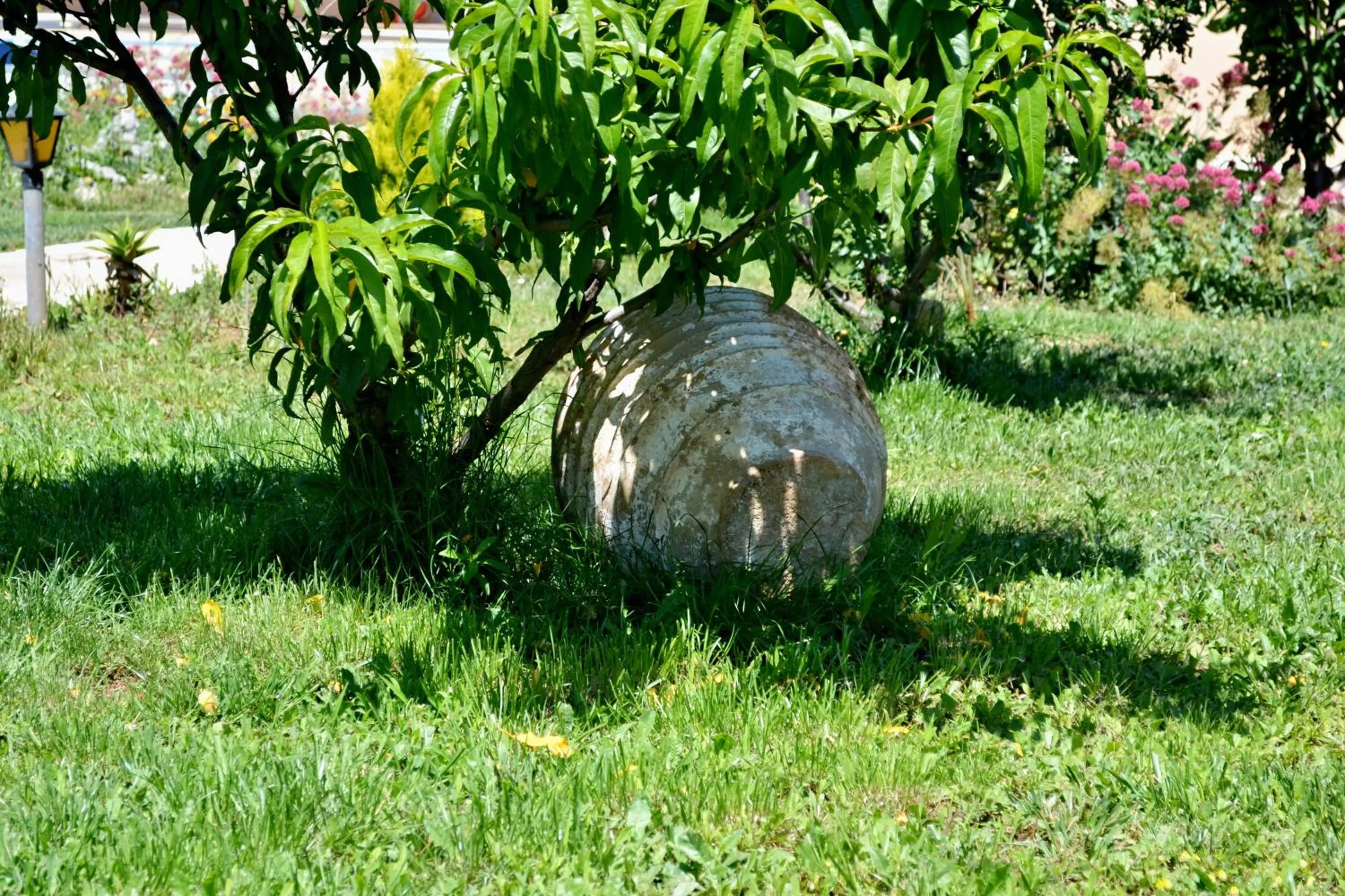 Patio in Vergina Star Hotel