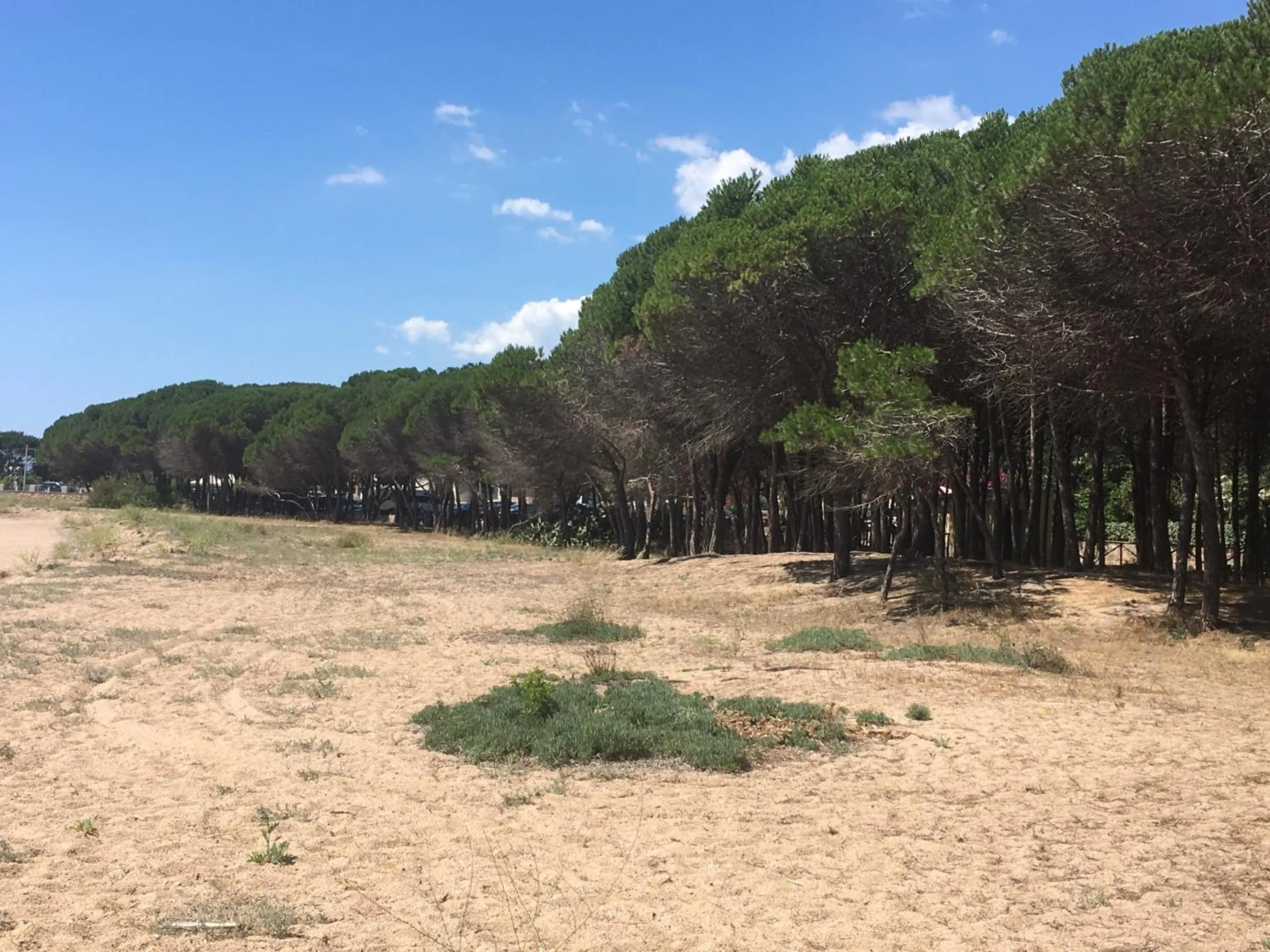 Natural landscape in Residence Cort'e Accas