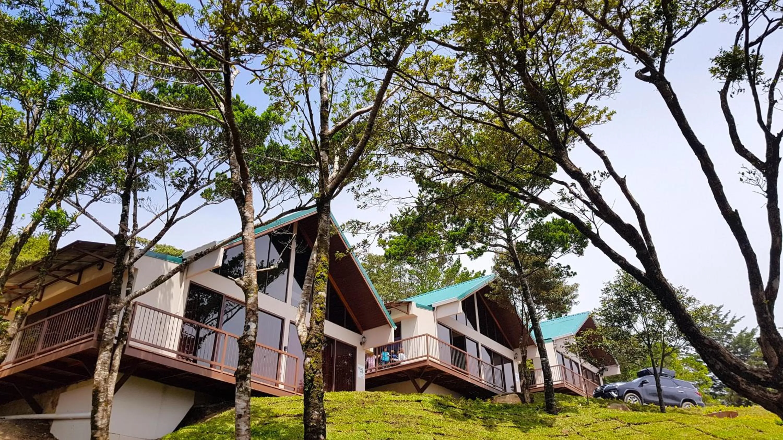 Green Forest Rustic Houses