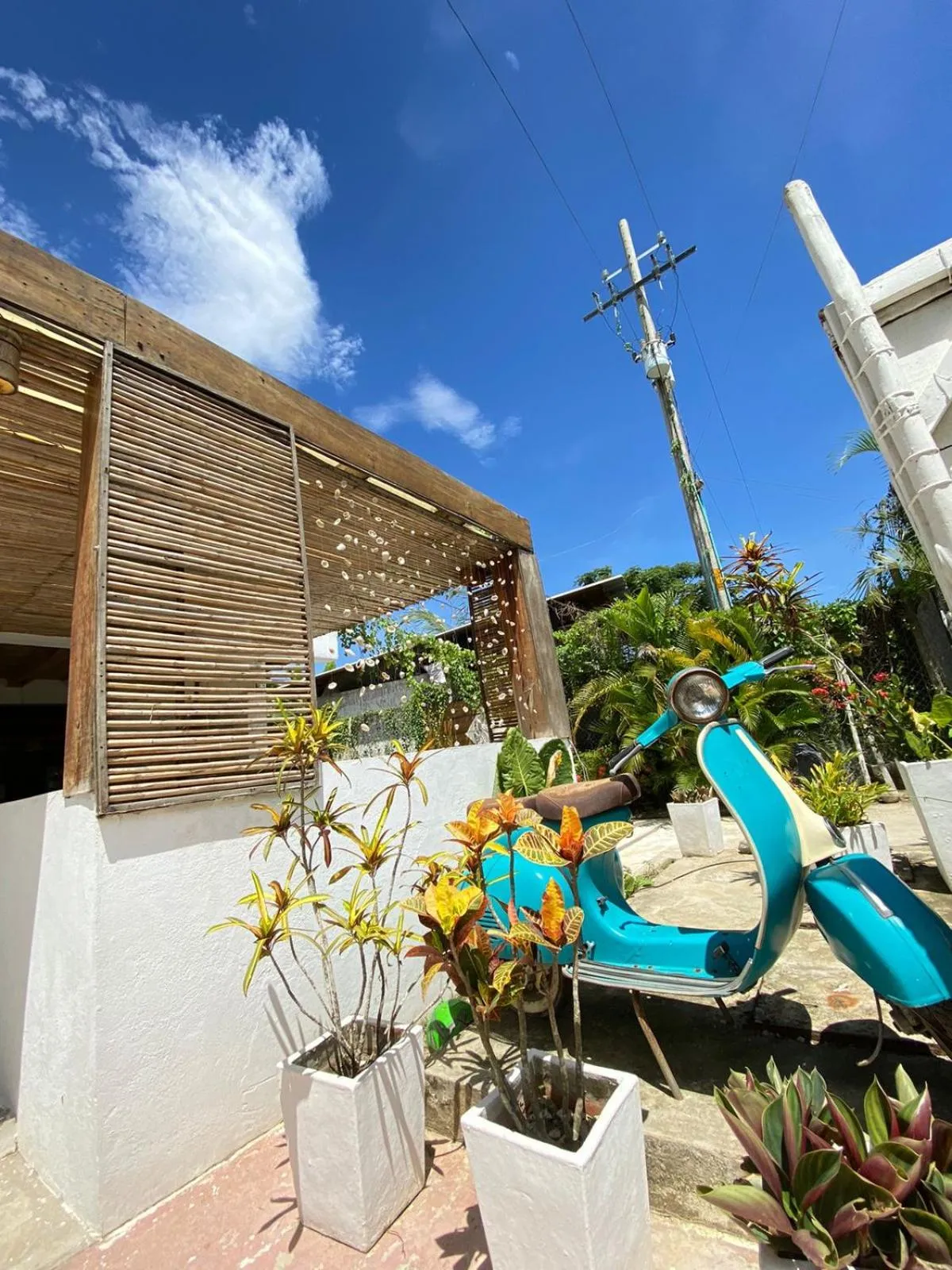 Property building in Casa Kai