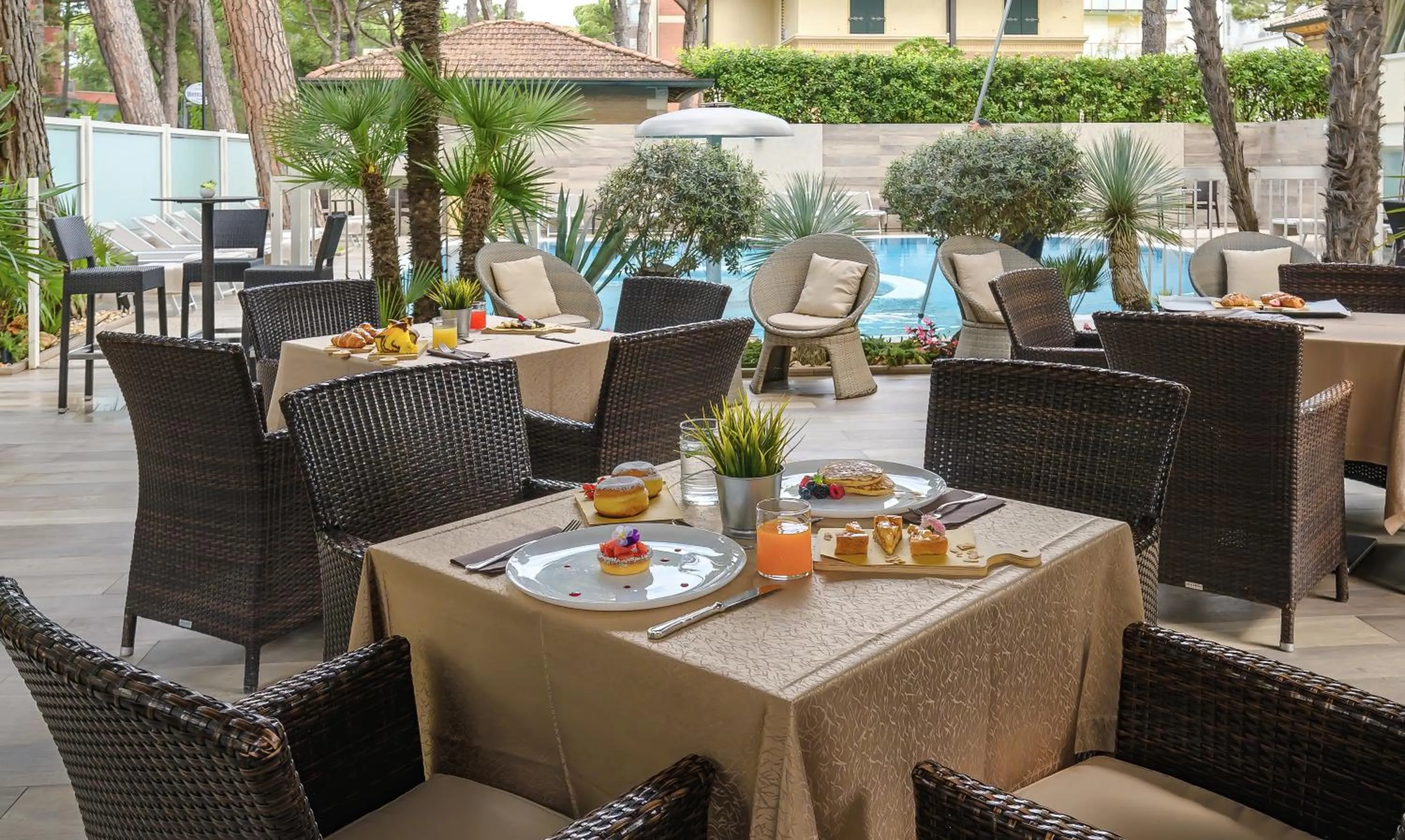 Garden in Hotel Alexander