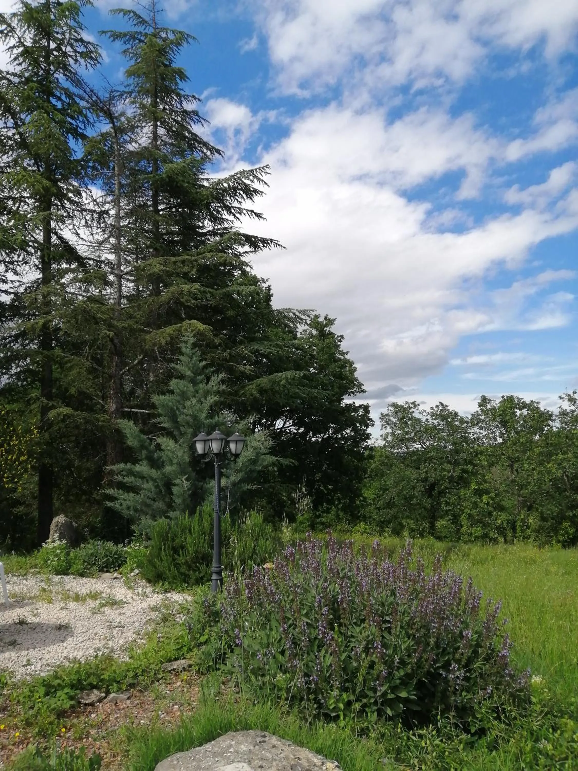 Garden in Suite Médiévale 40m2 chambre d' hôte du Mas Fabrègue