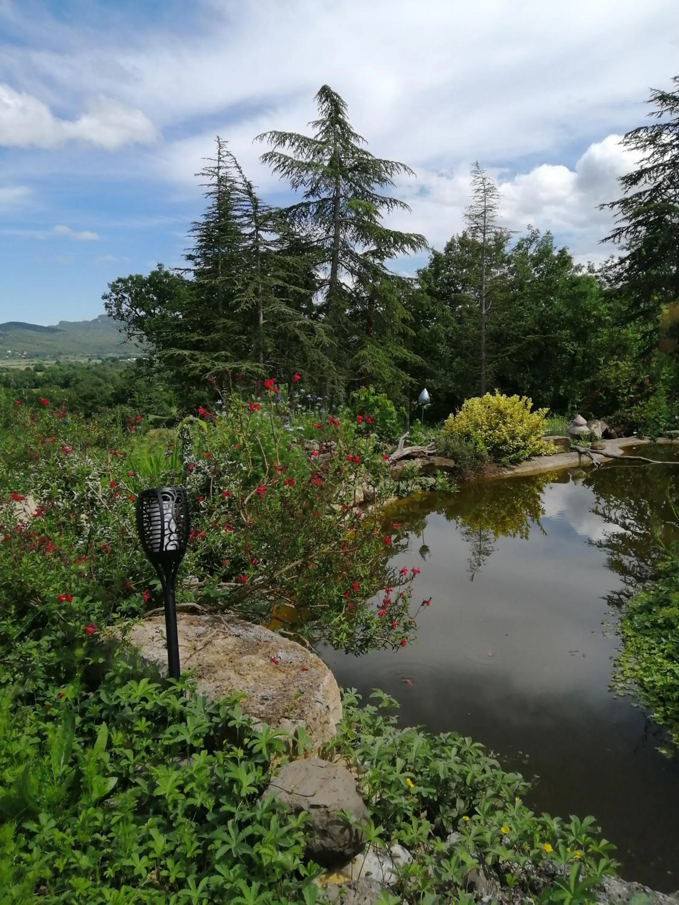 Garden in Suite Médiévale 40m2 chambre d' hôte du Mas Fabrègue
