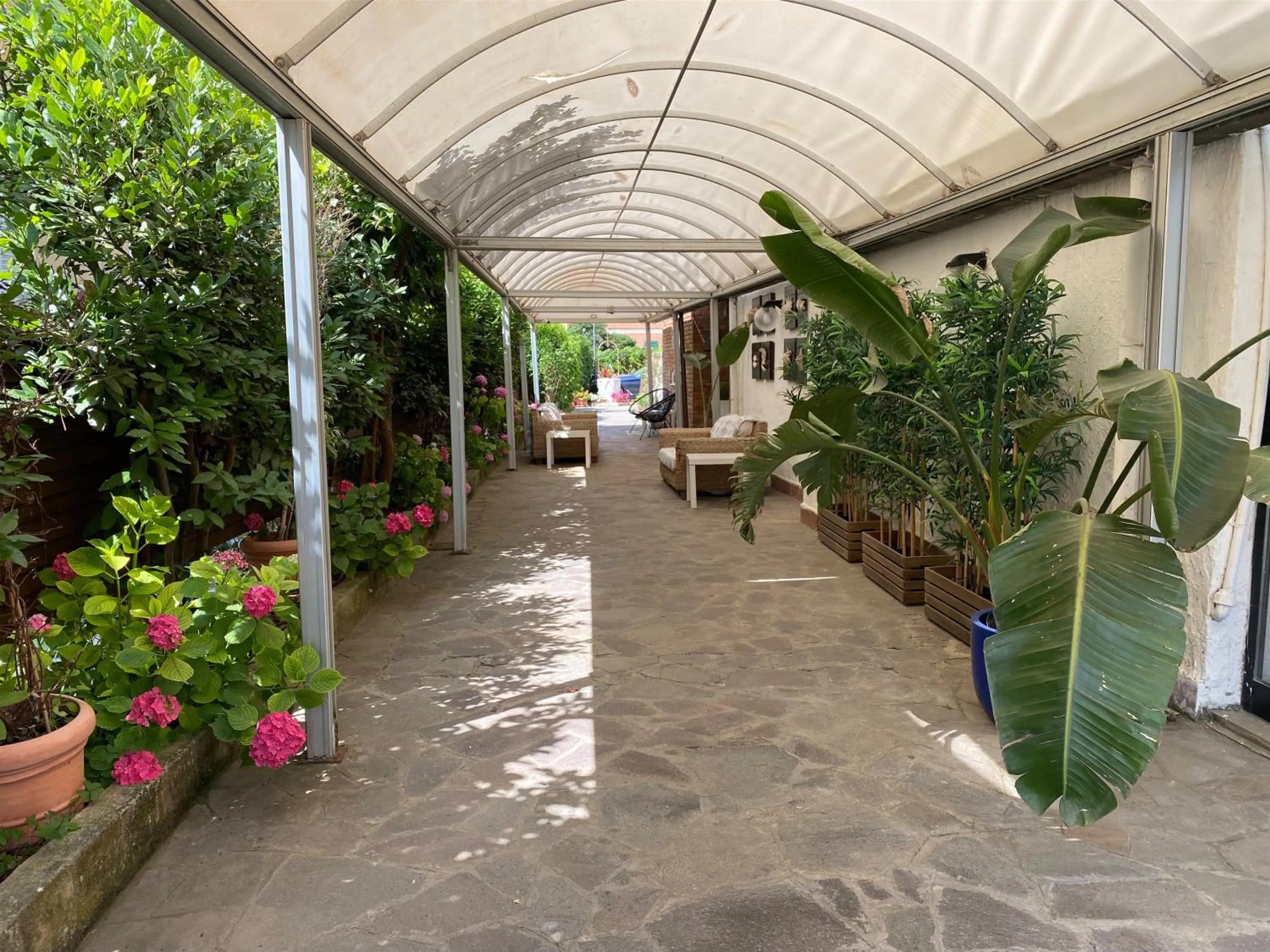 Garden in Hotel Kinda