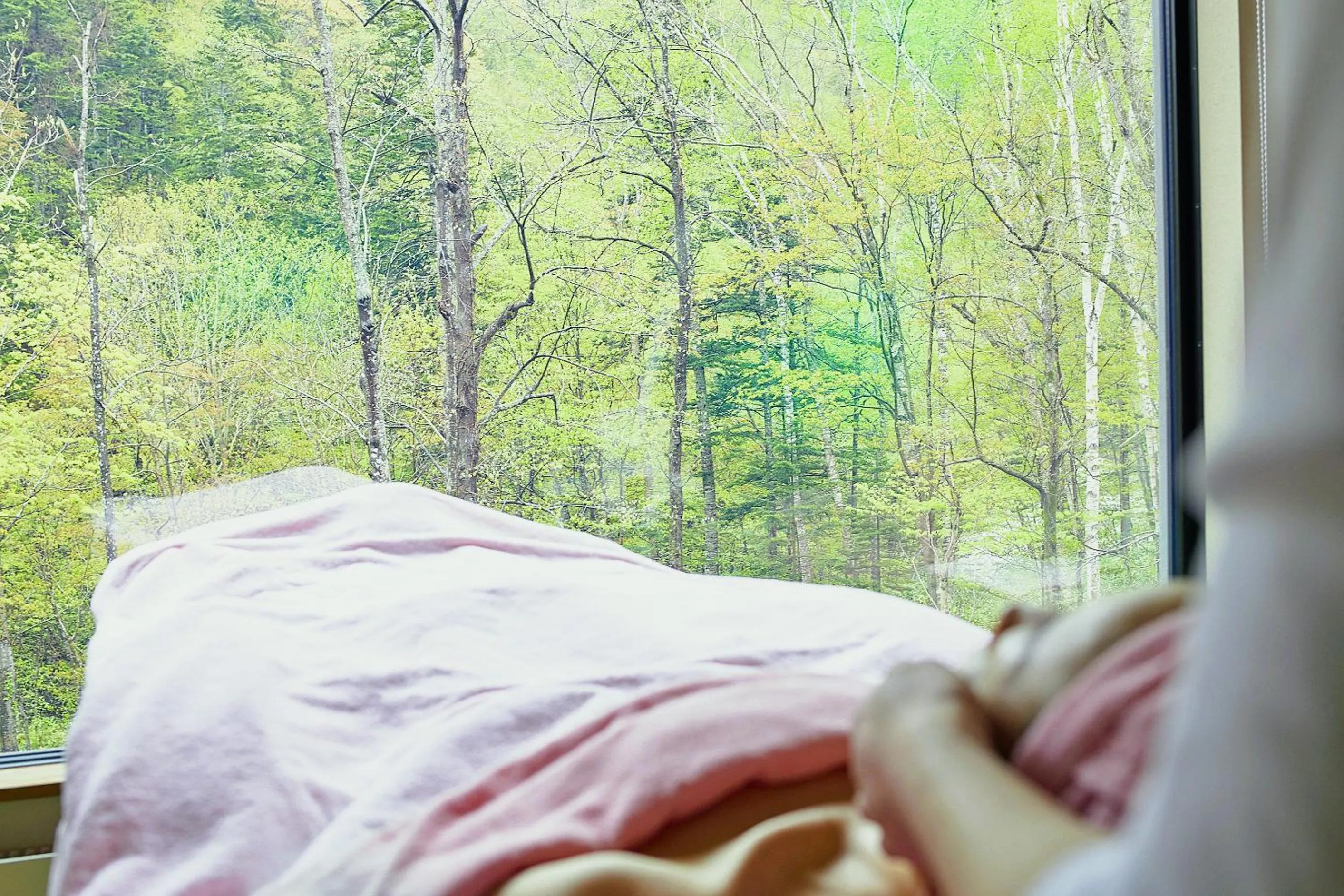 Spa and wellness centre/facilities, Bed in Okujozankei Onsen Kasho Gyoen