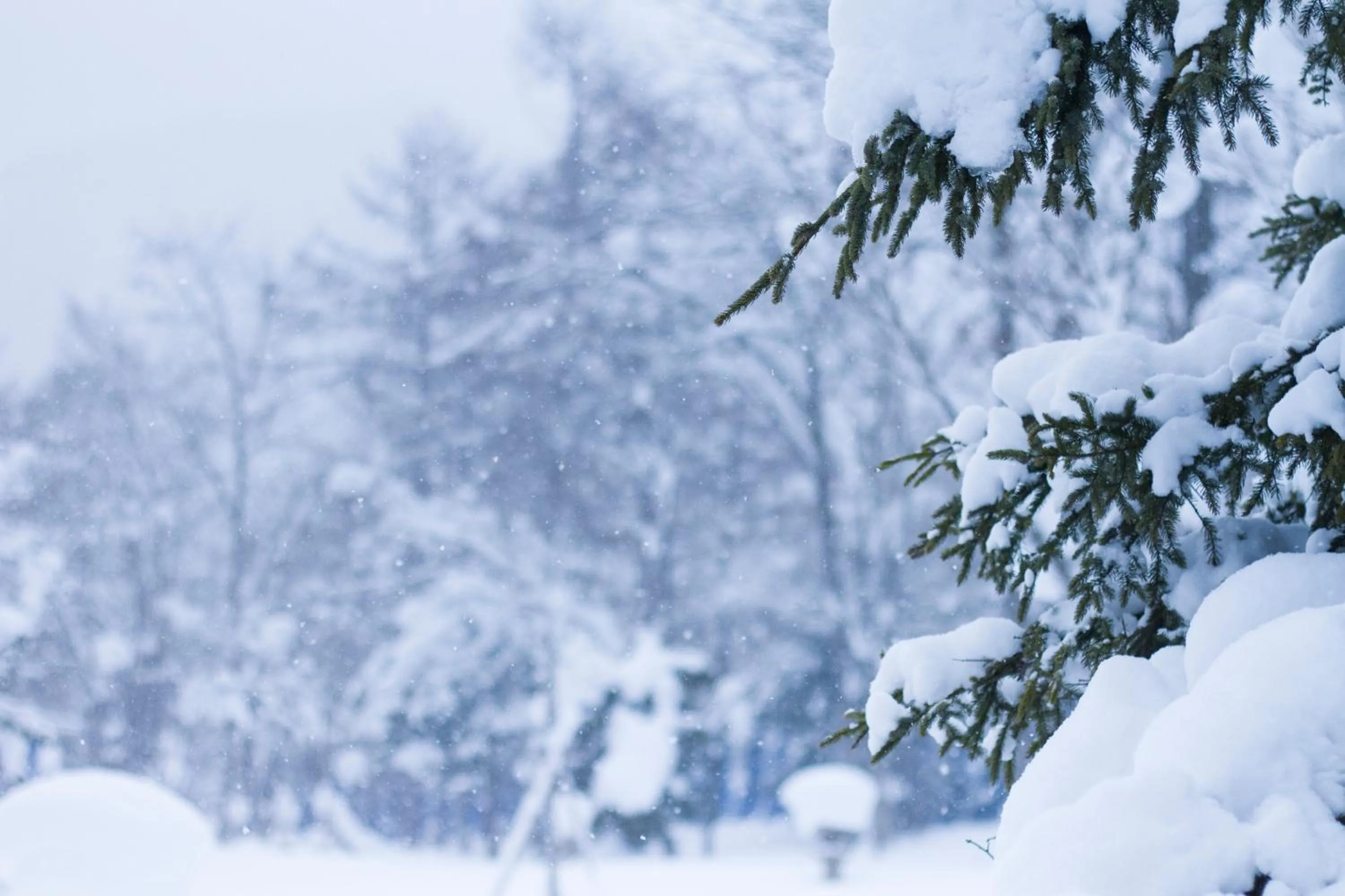 Winter in Okujozankei Onsen Kasho Gyoen