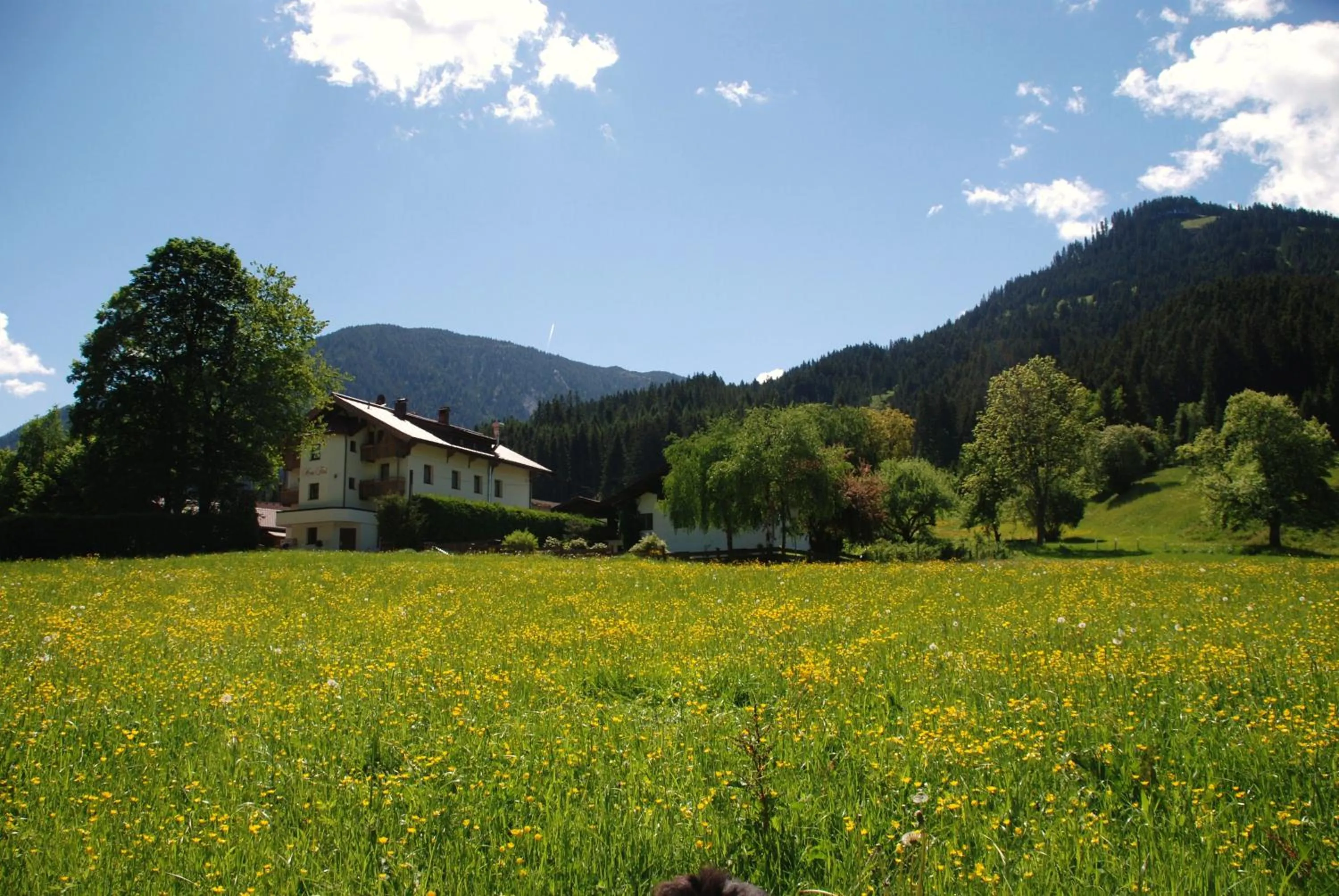 Mountain view in Haus Tirol
