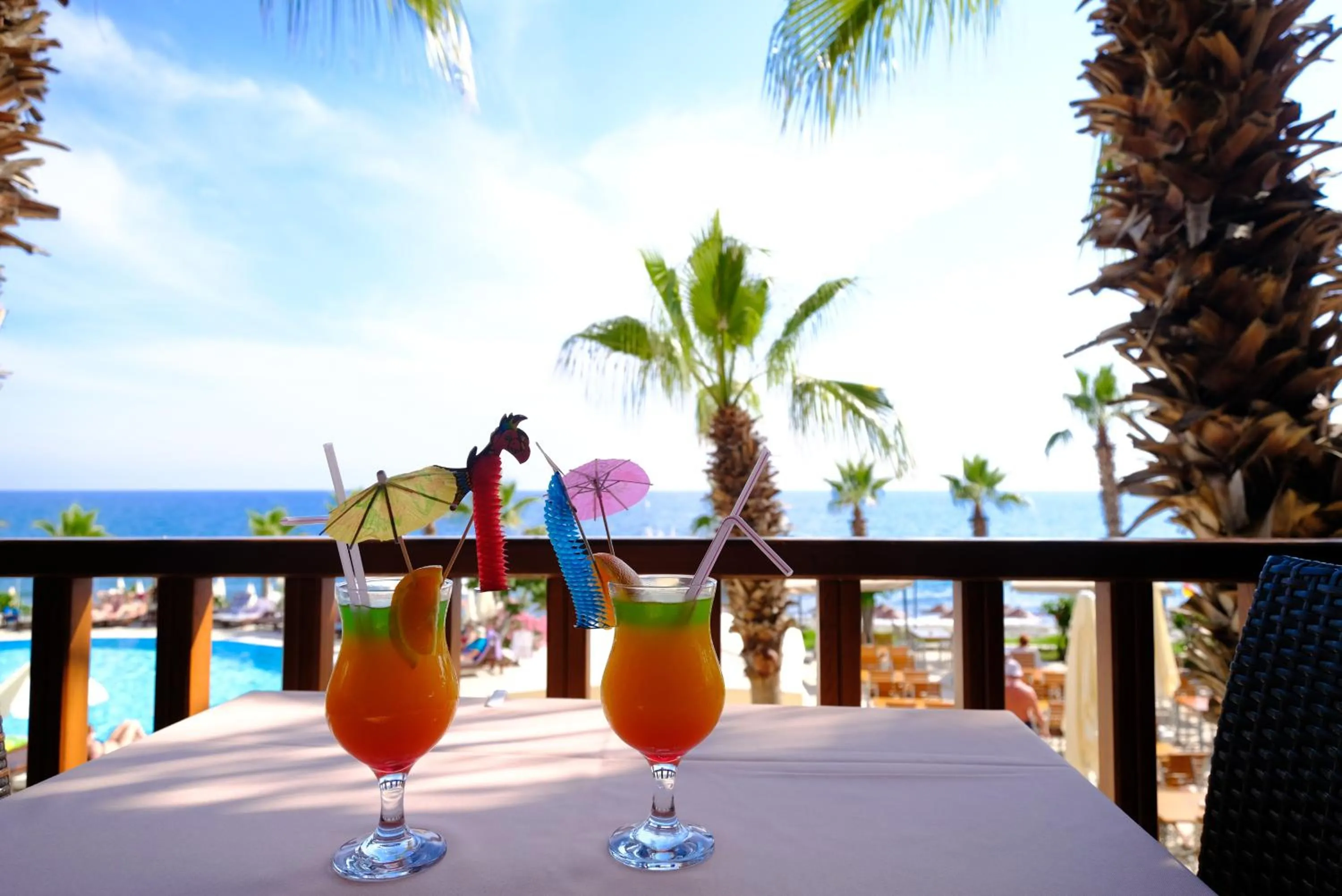 Balcony/Terrace in Anitas Hotel