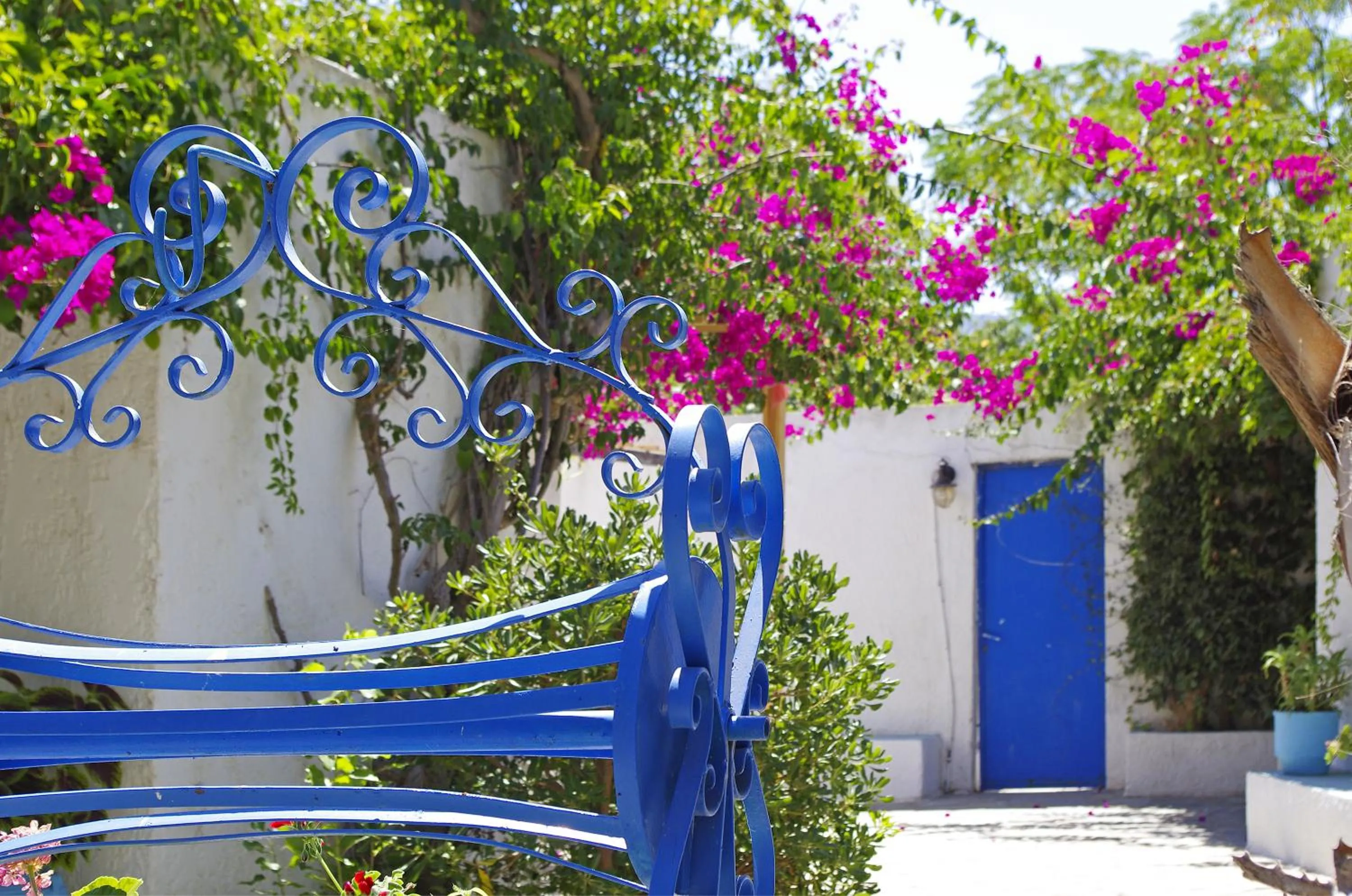 Garden in Palm Beach Hotel - Adults only