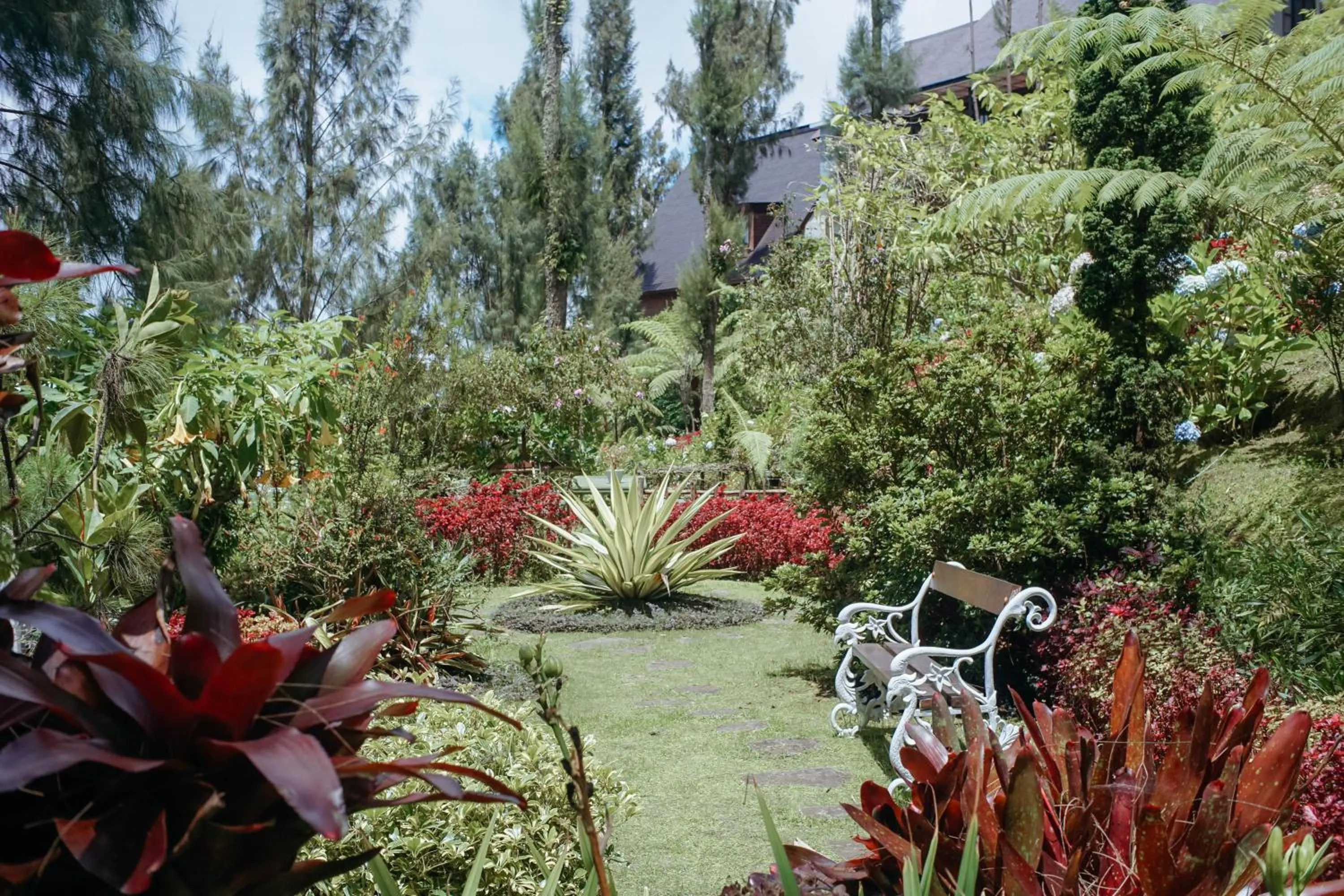 Garden in Plataran Bromo