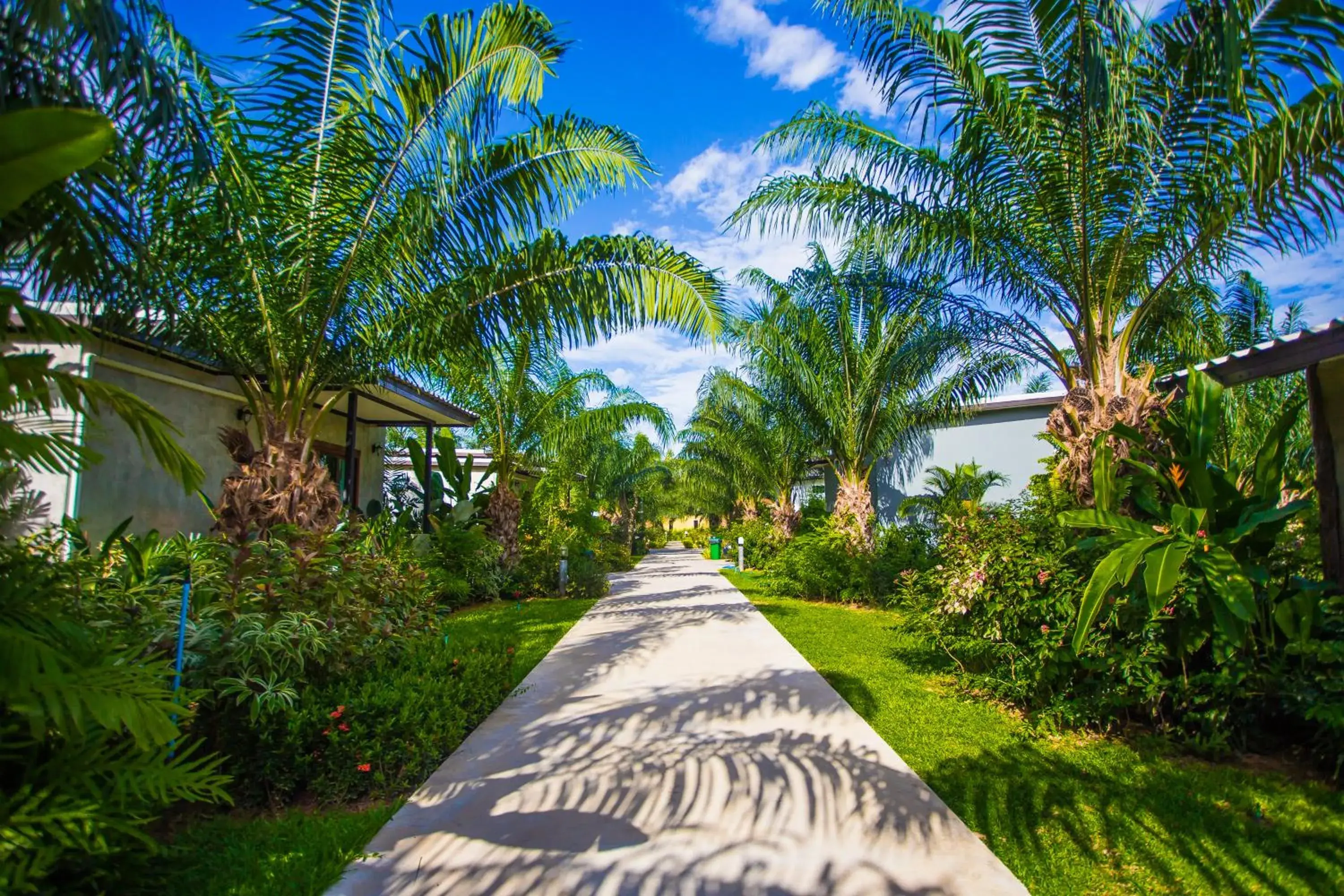 Standard Quadruple Room in Palm Pran Resort Standard Quadruple Room in Palm Pran Resort