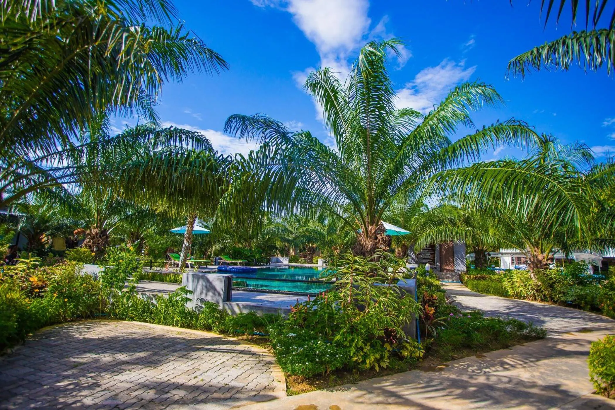 View (from property/room) in Palm Pran Resort