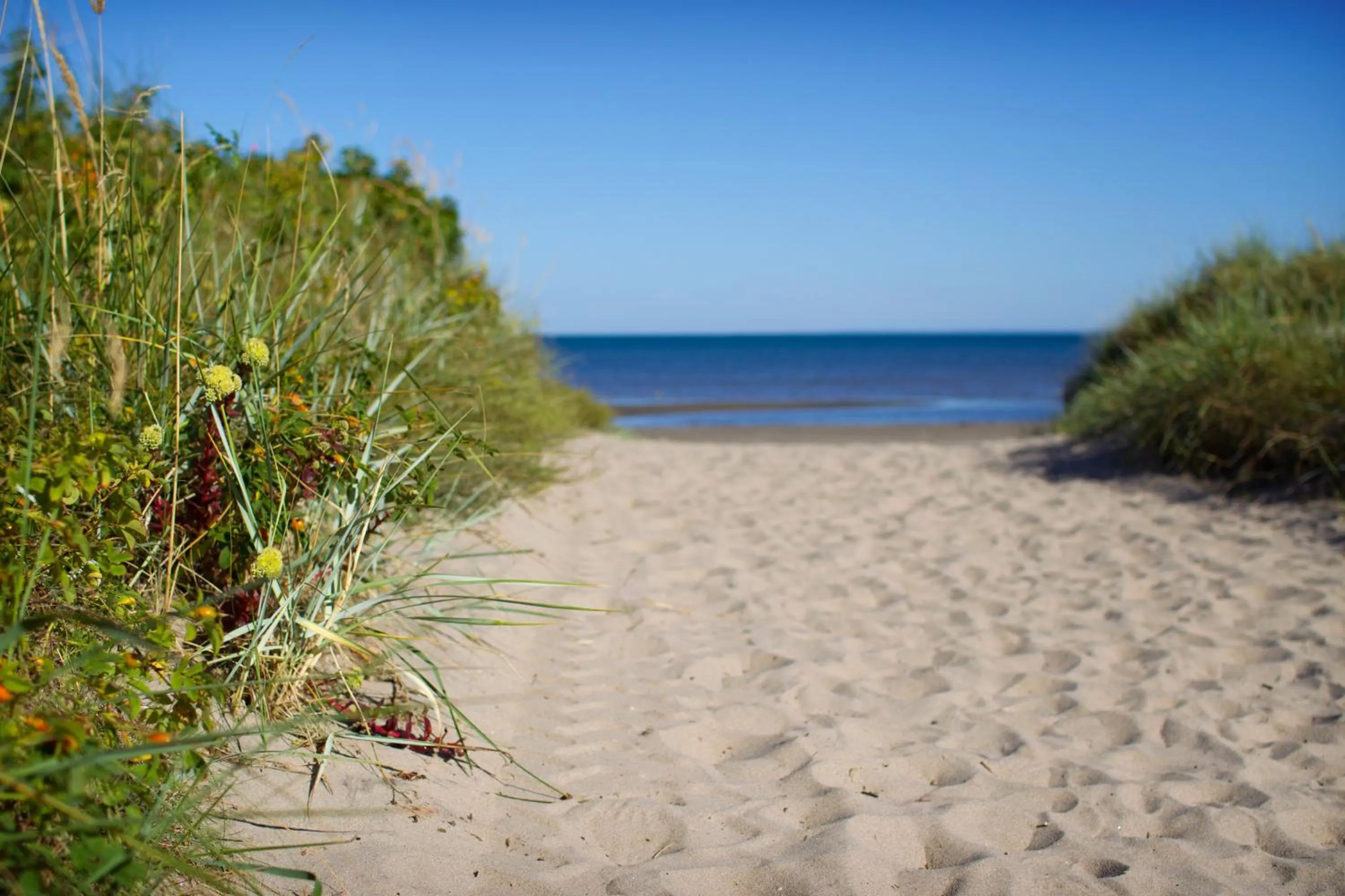 Beach in Hotel Riviera Strand
