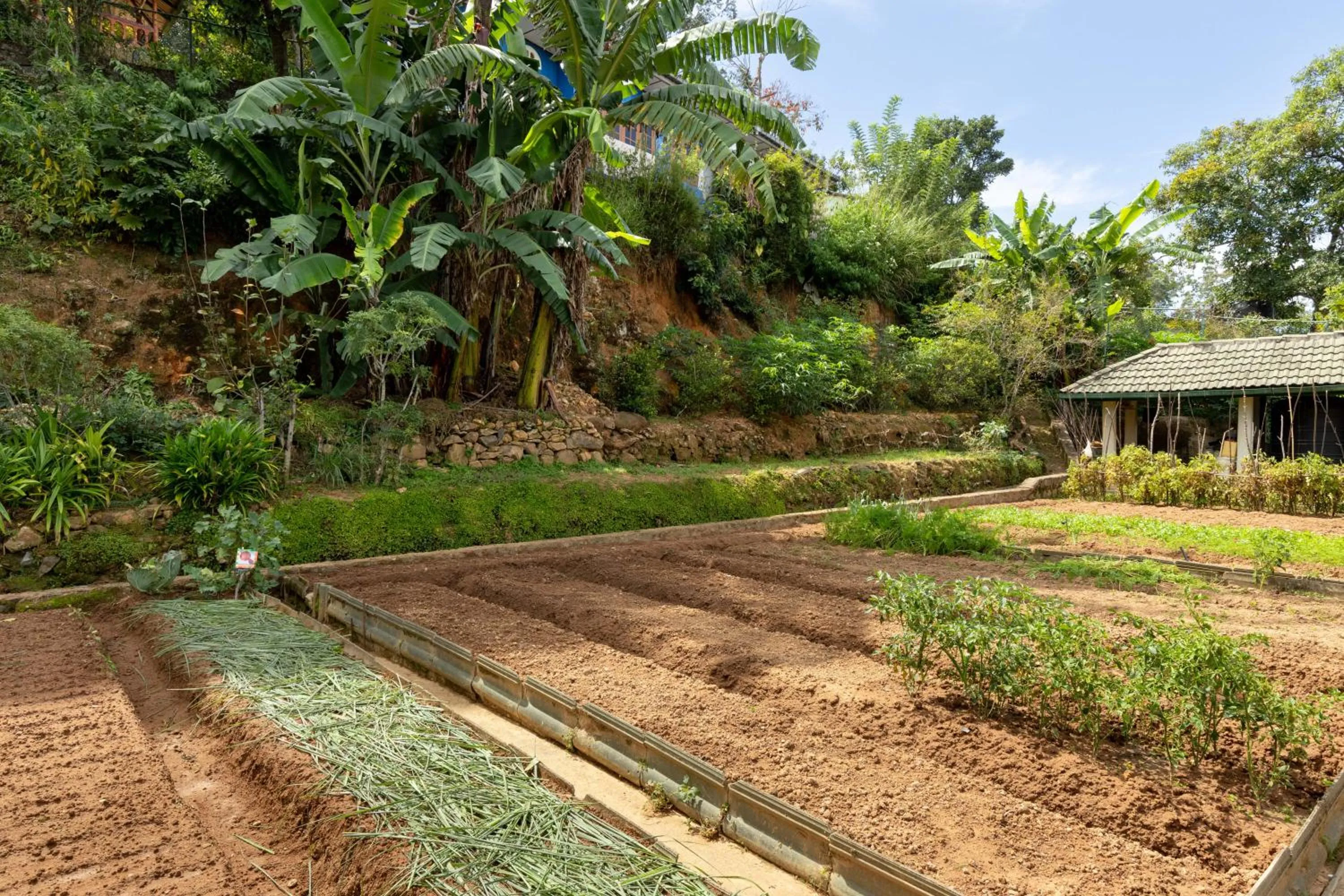 Garden in Manor House Bandarawela By Seven Angels