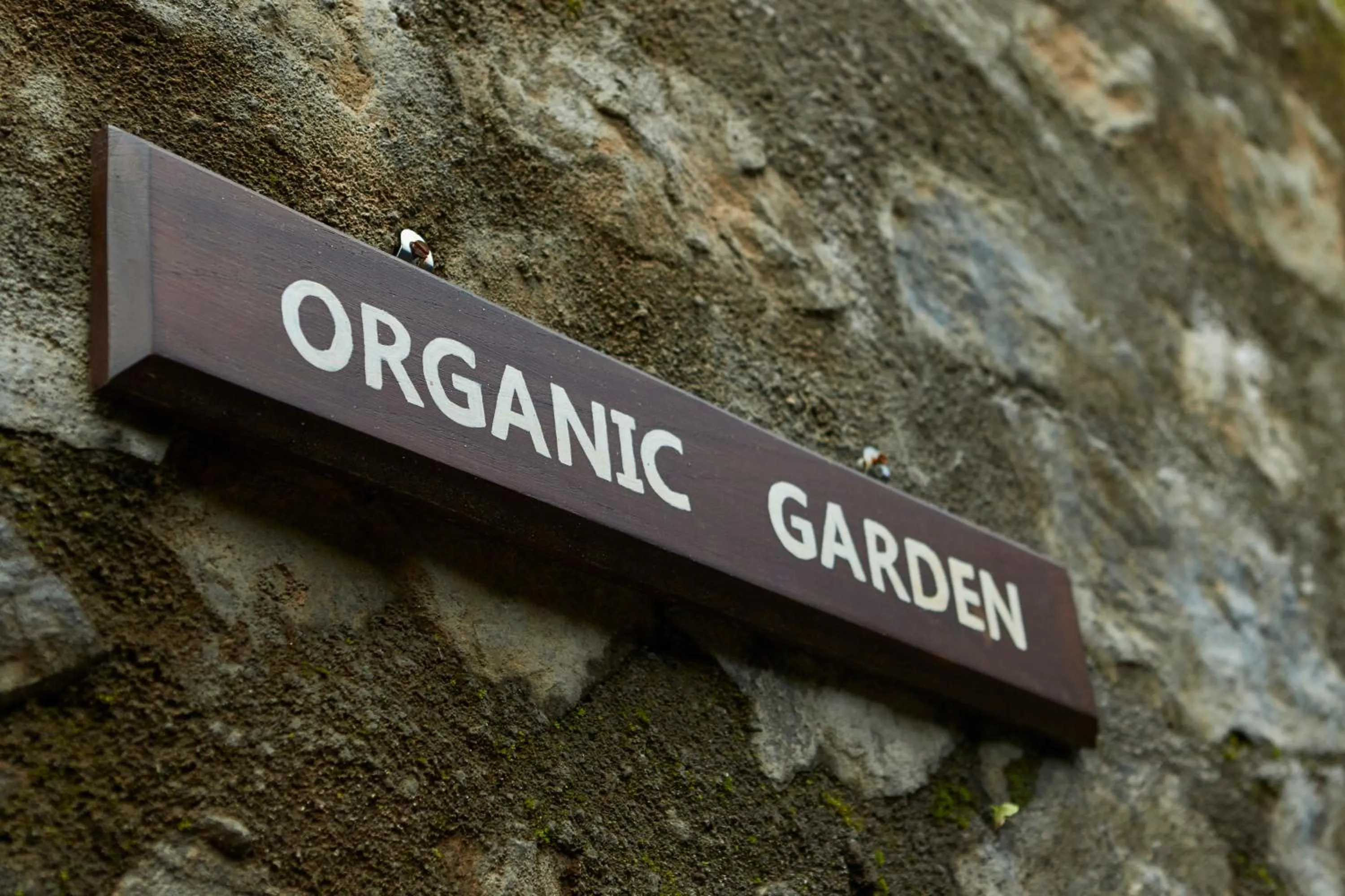 Garden in Manor House Bandarawela By Seven Angels