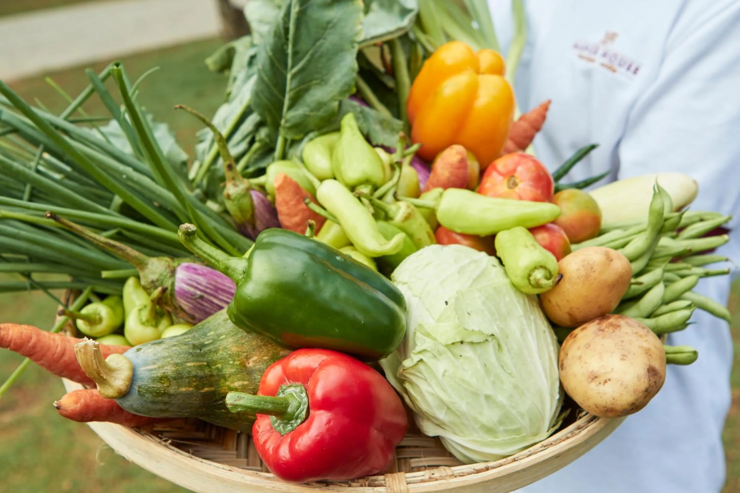 Garden in Manor House Bandarawela By Seven Angels