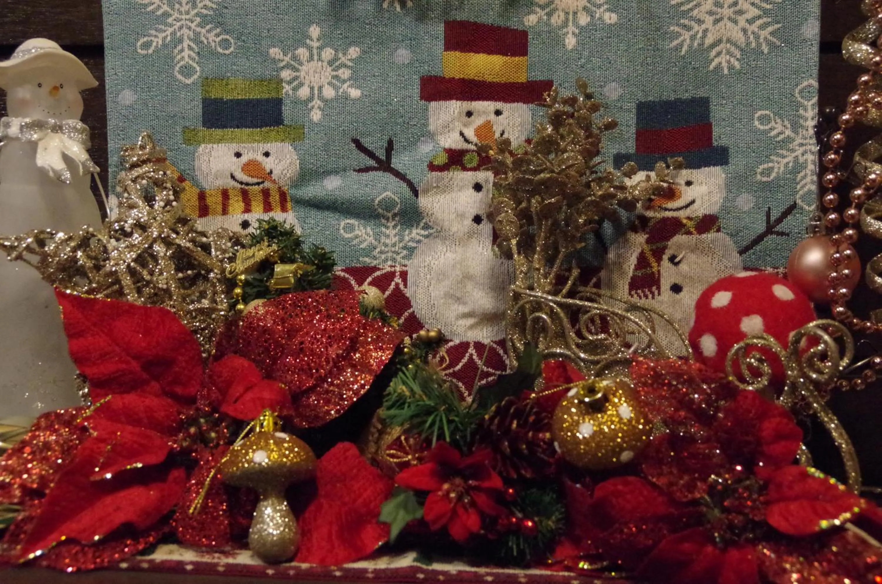 Winter in Ryoso Chatani