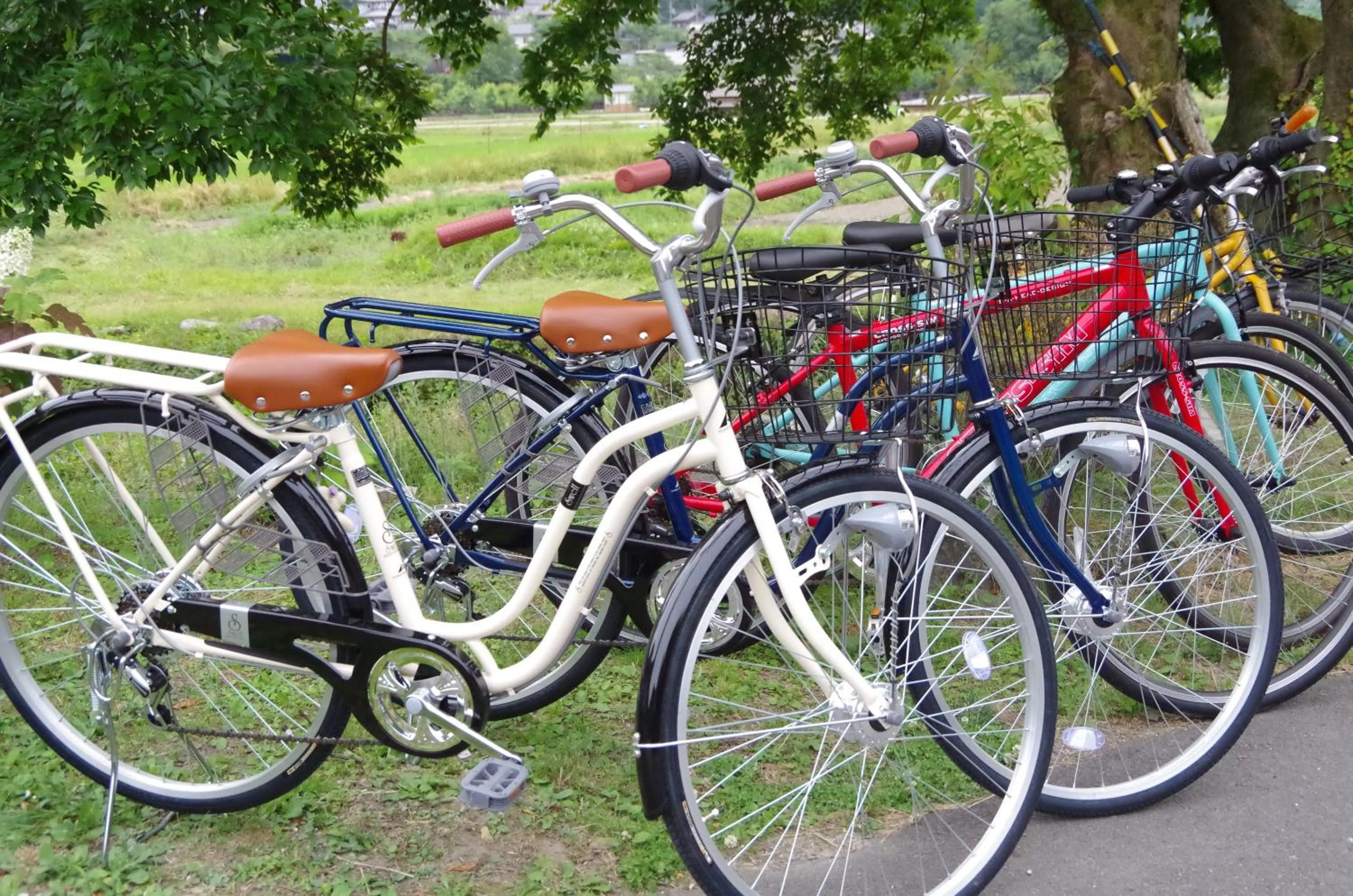Cycling in Ryoso Chatani