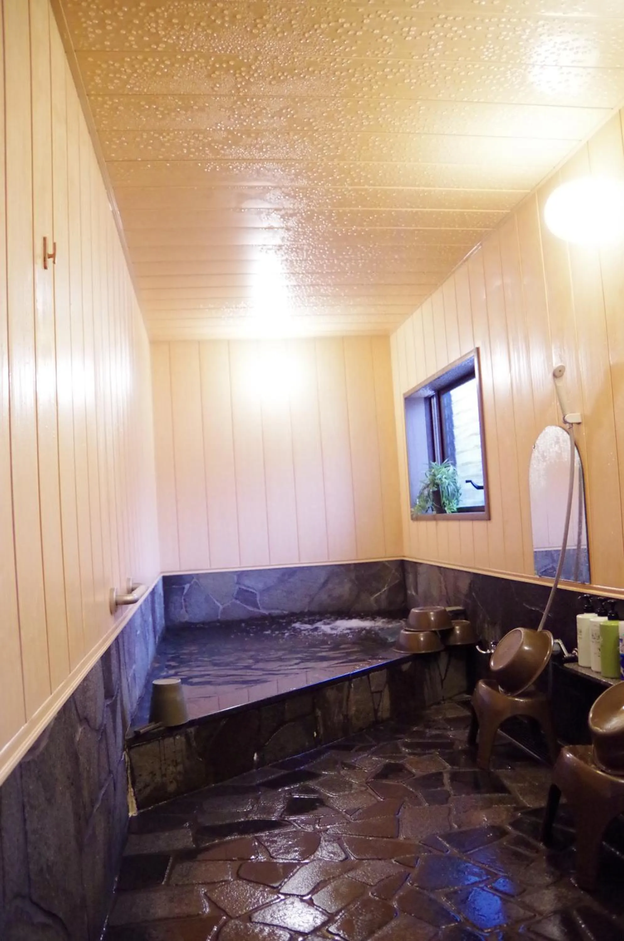 Hot Spring Bath in Ryoso Chatani