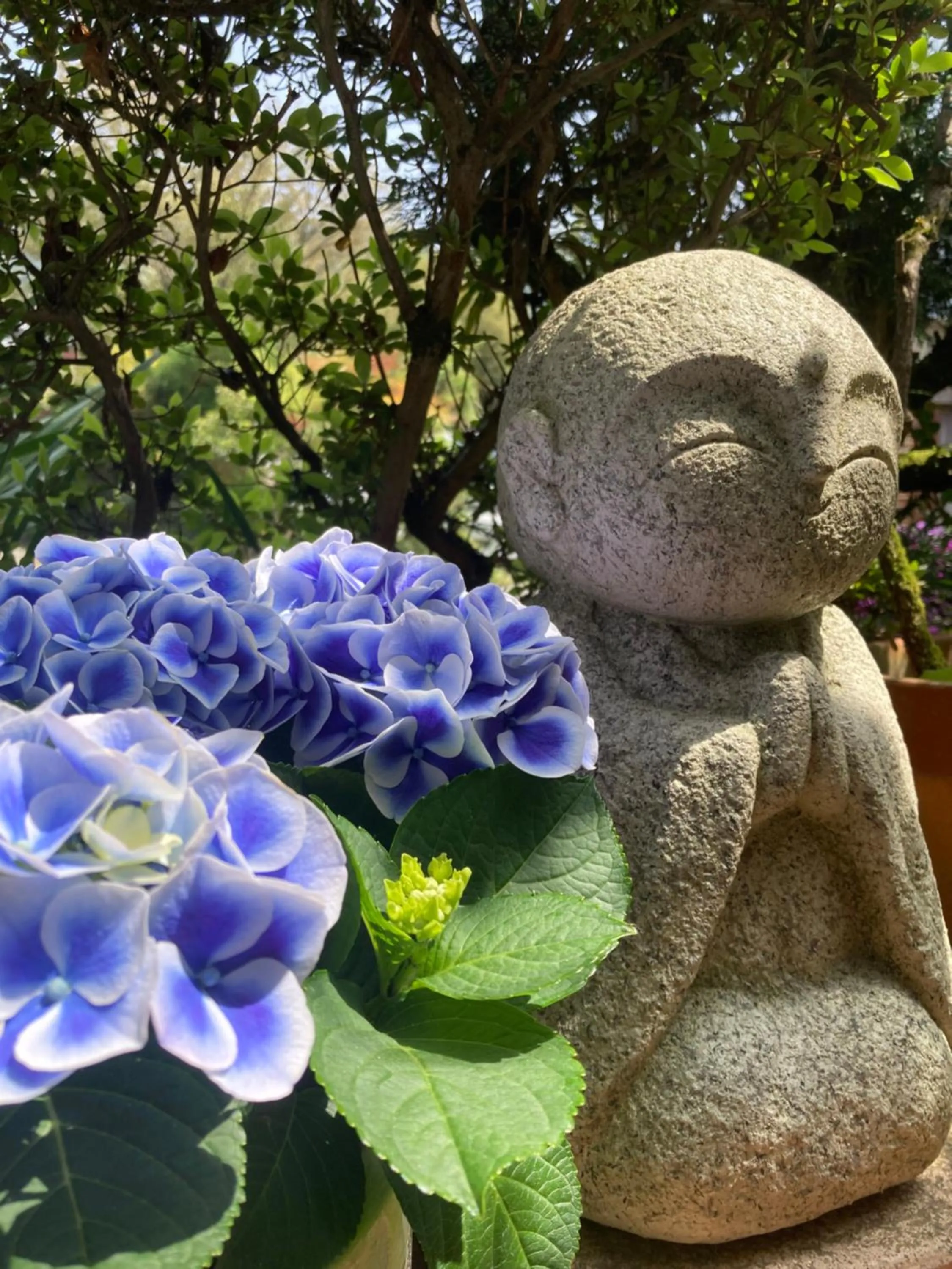 Day in Ryoso Chatani