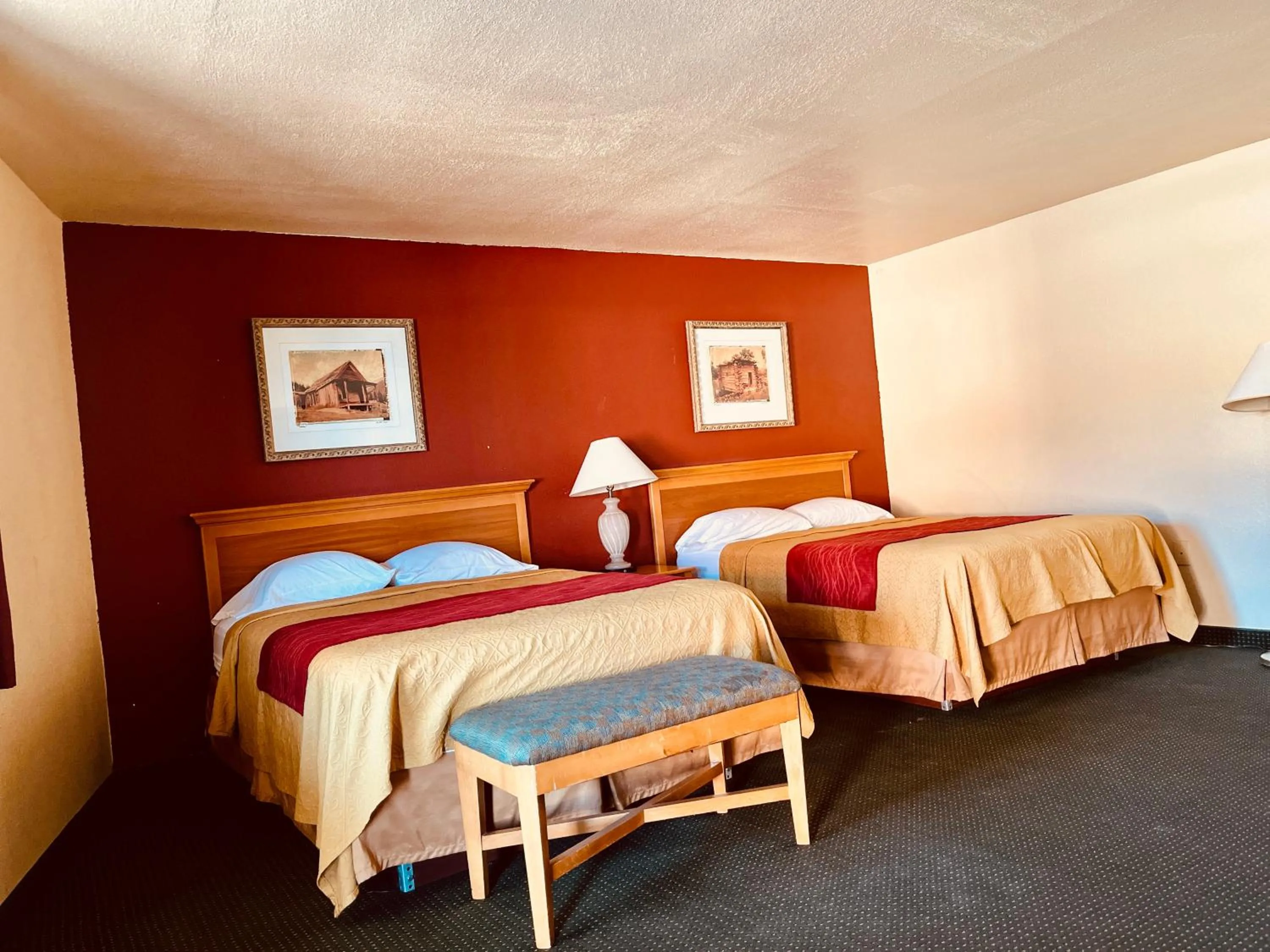 Bed in Econo Lodge Del Rio