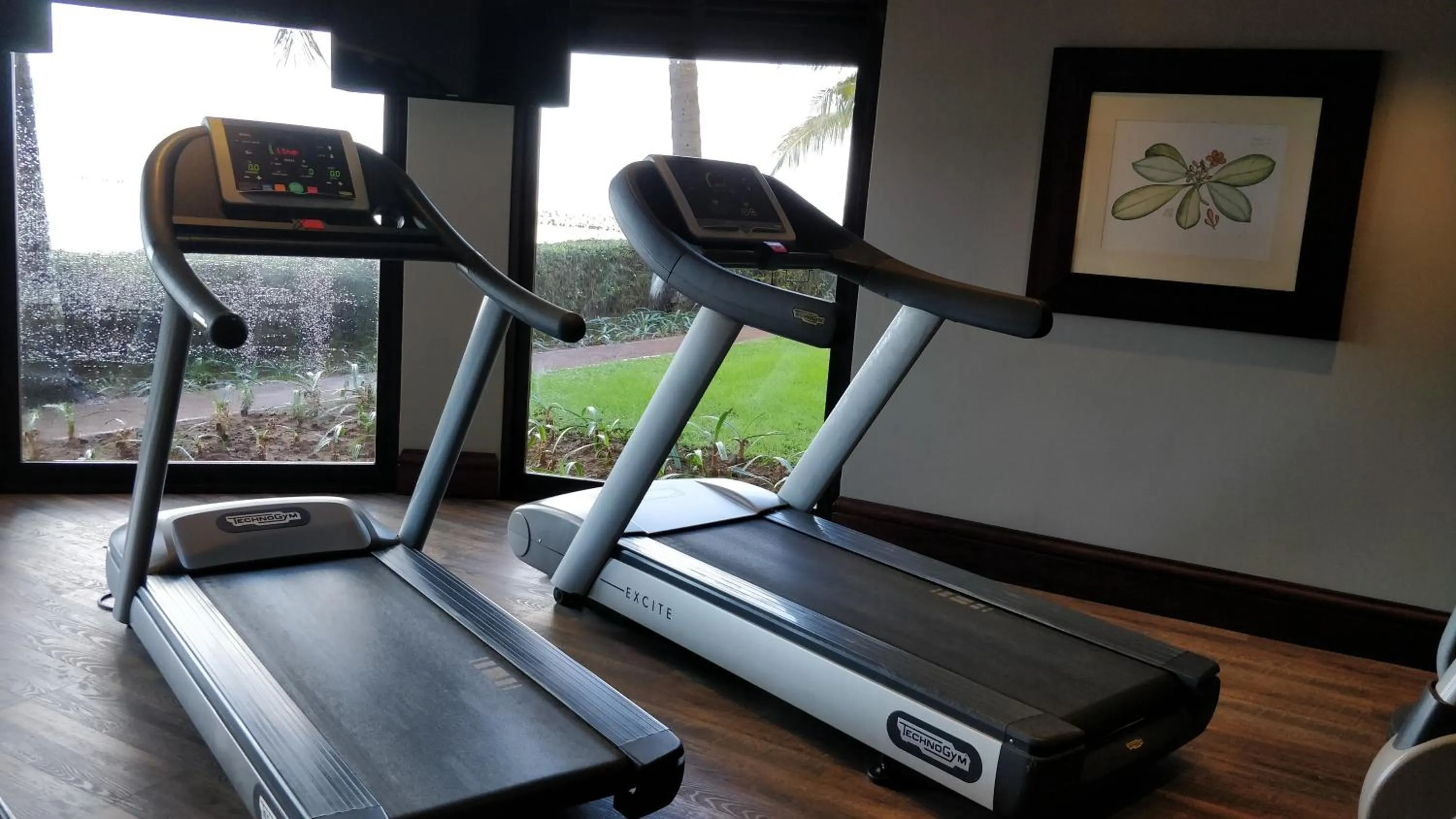 Garden in Southern Sun Maputo