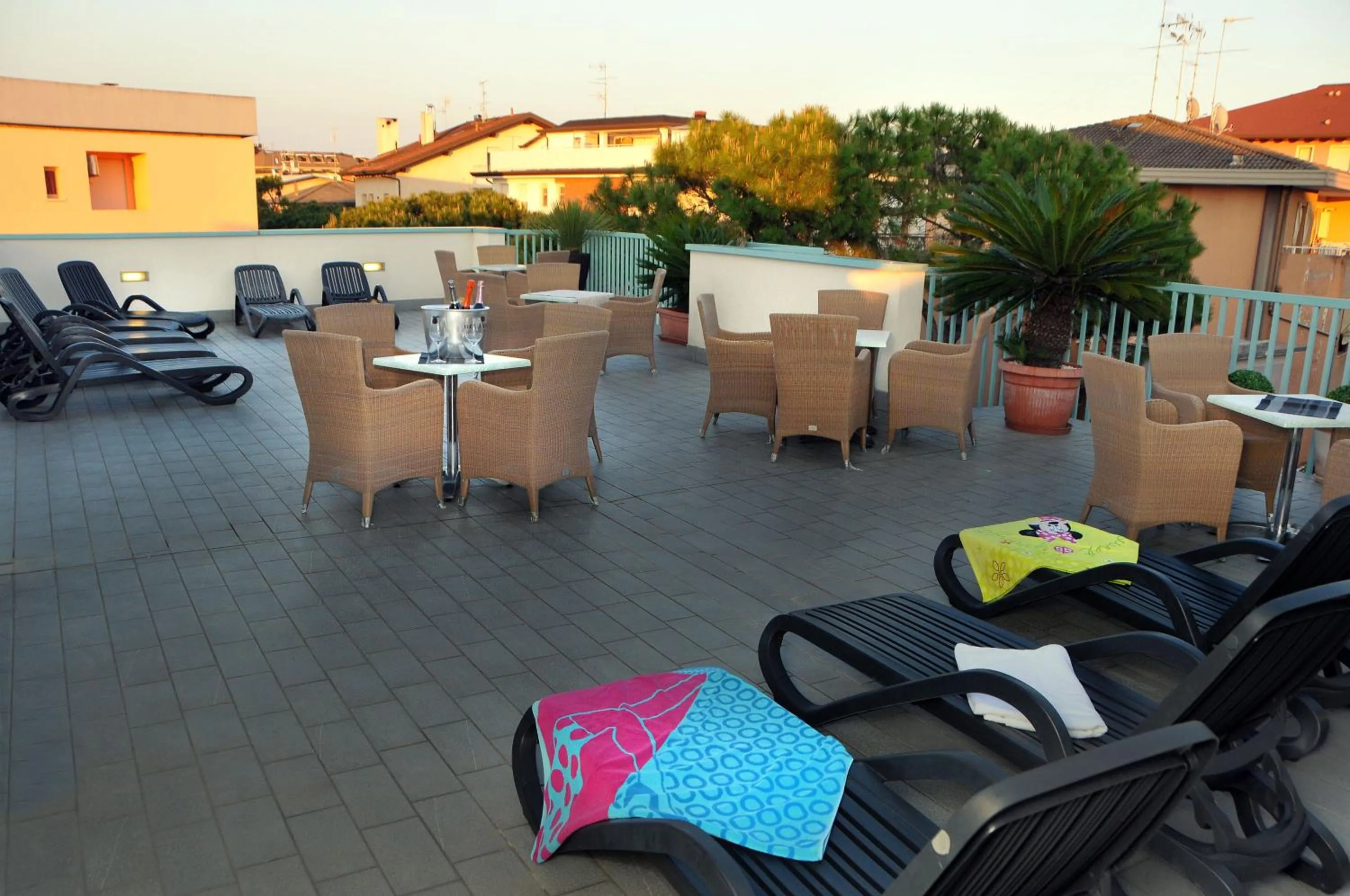 Area and facilities in Hotel Raffaello