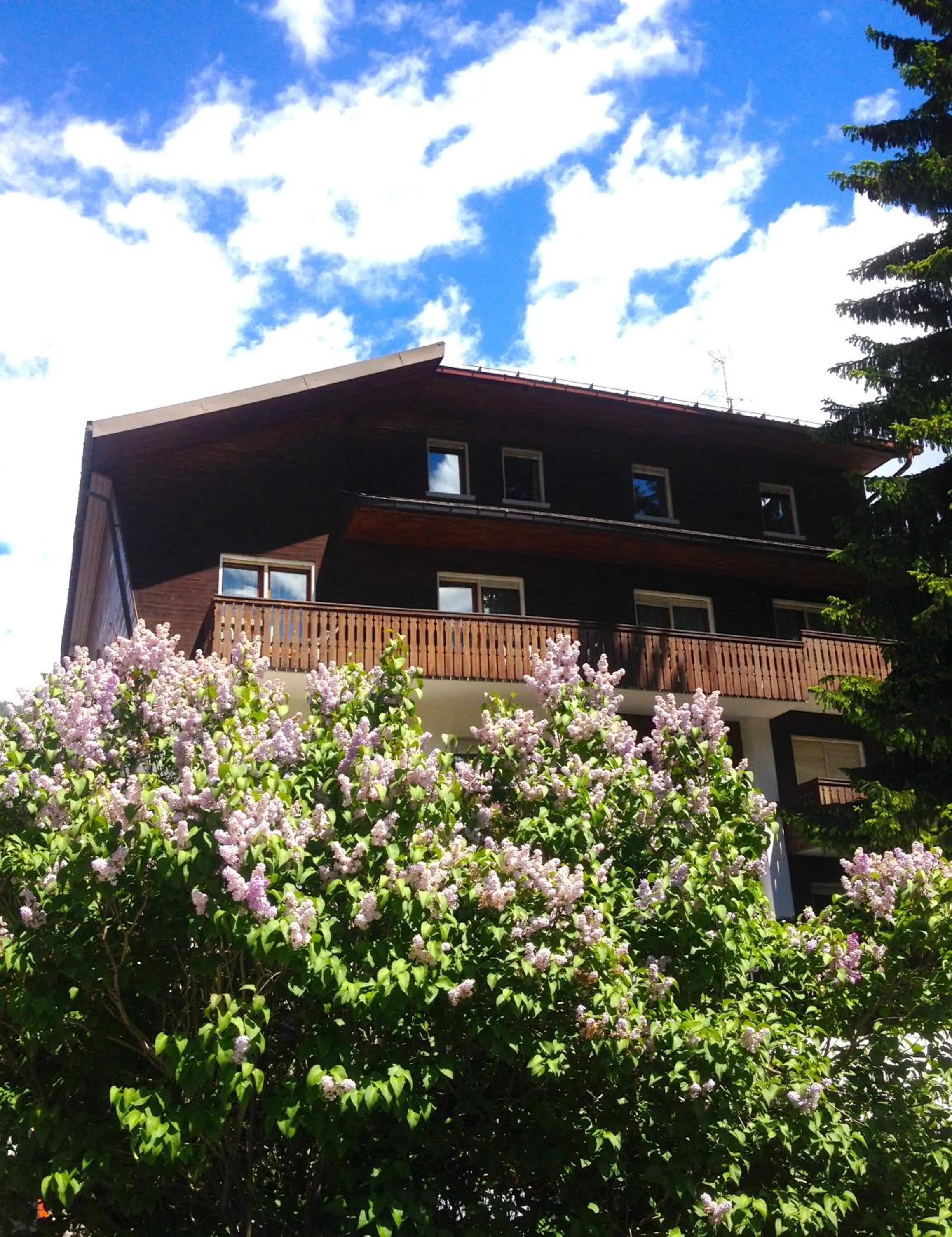 Property building in Hotel Rosa Serenella